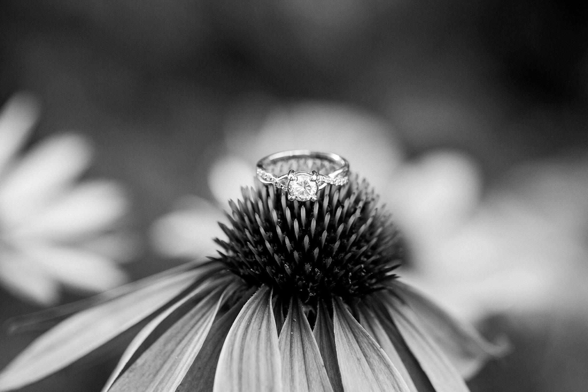 Silver Lake Engagement Photos Michigan Wedding Photographer Megan Kelsey Photography-9834.jpg