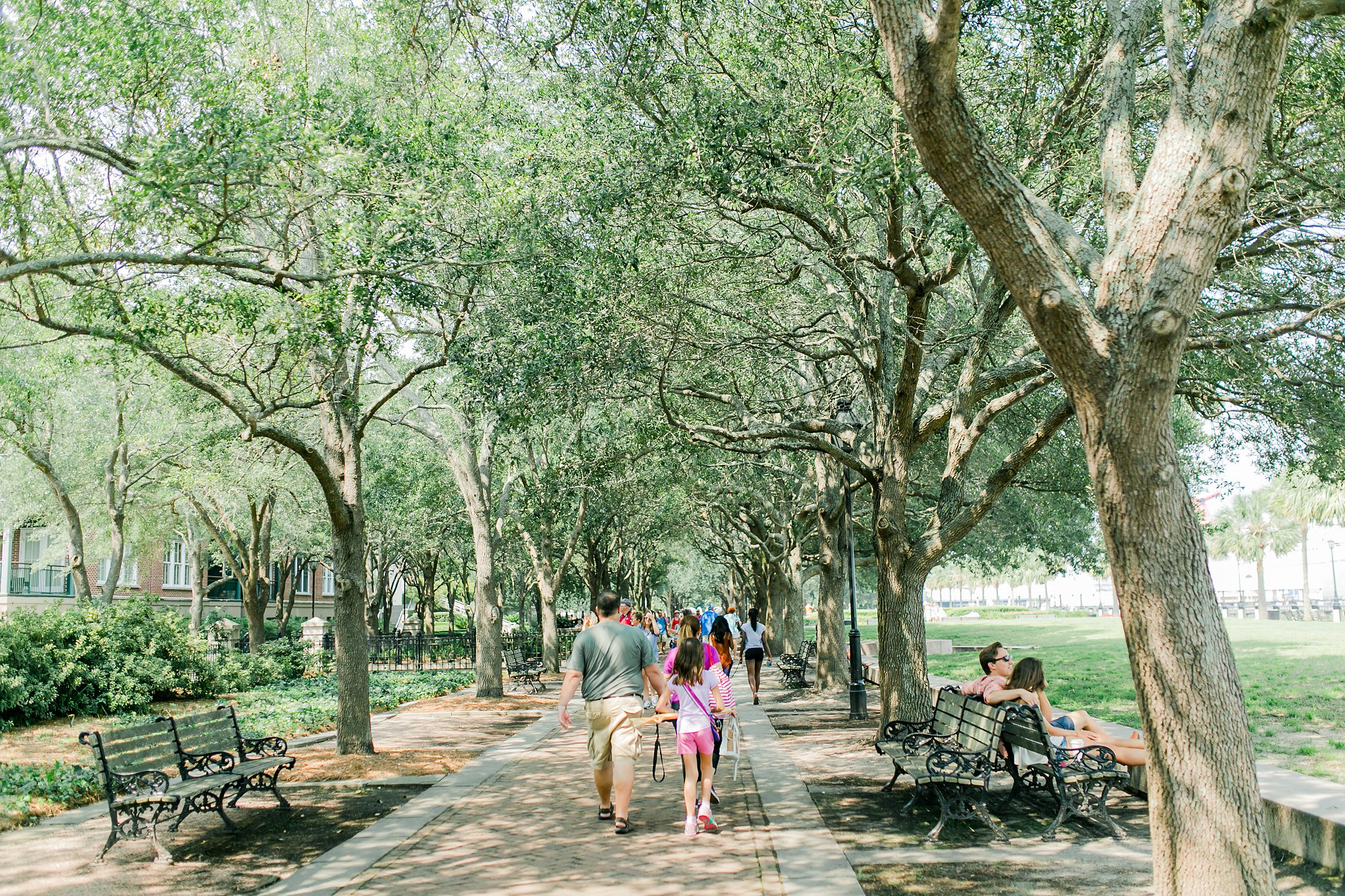 Charleston Travel Photos Megan Kelsey Photography-35.jpg