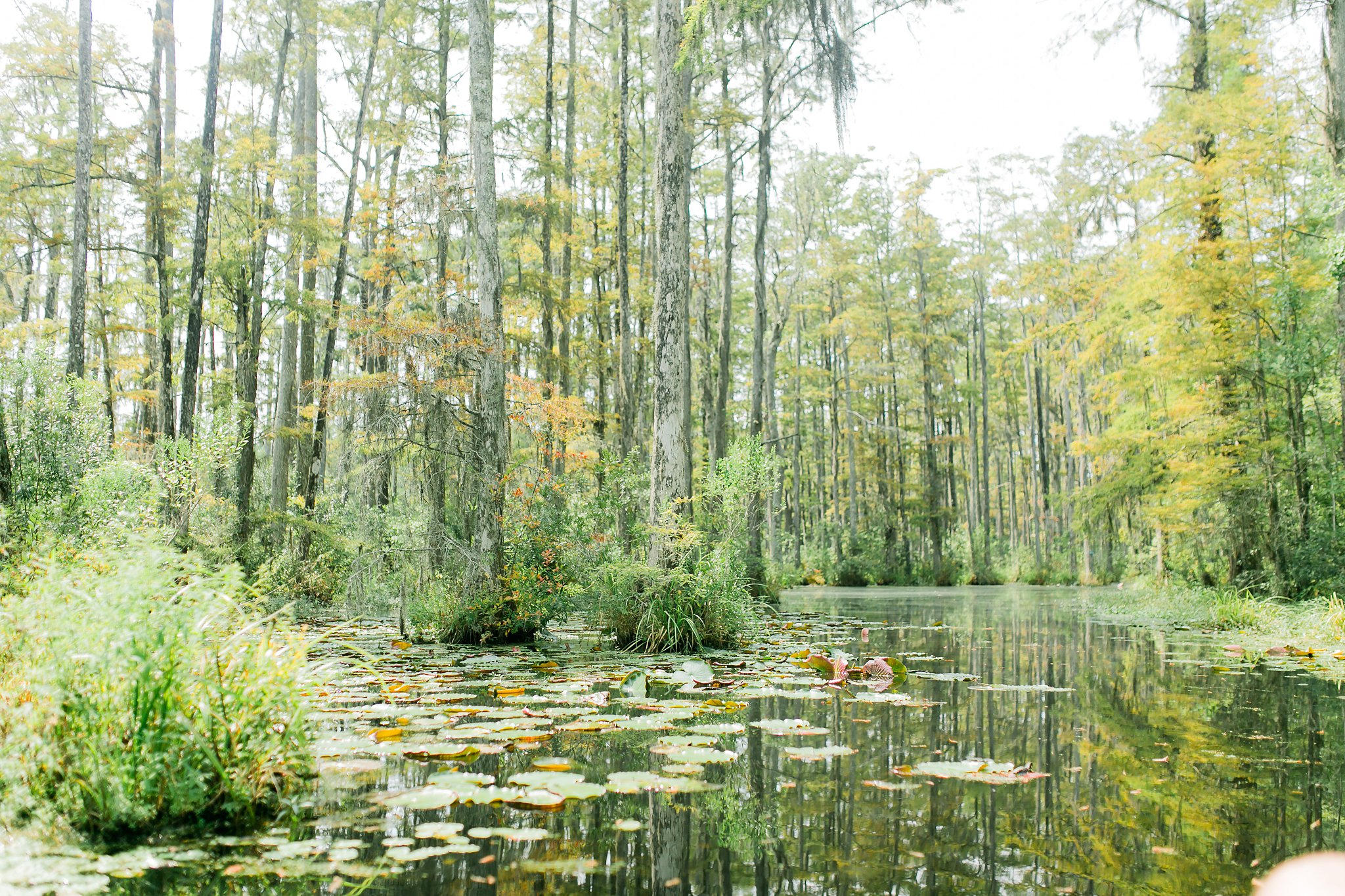 Charleston Travel Photos Megan Kelsey Photography-8.jpg