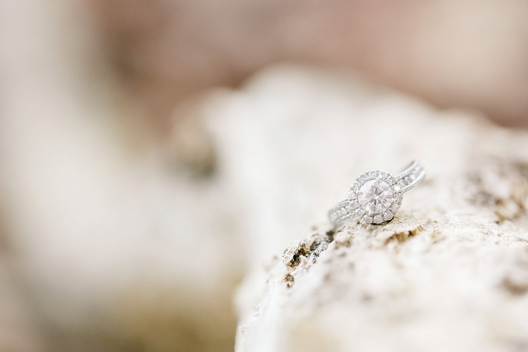 Rock Creek Park Engagement Photos DC Wedding Photographer Megan Kelsey Photography Katie & Conor-102.jpg