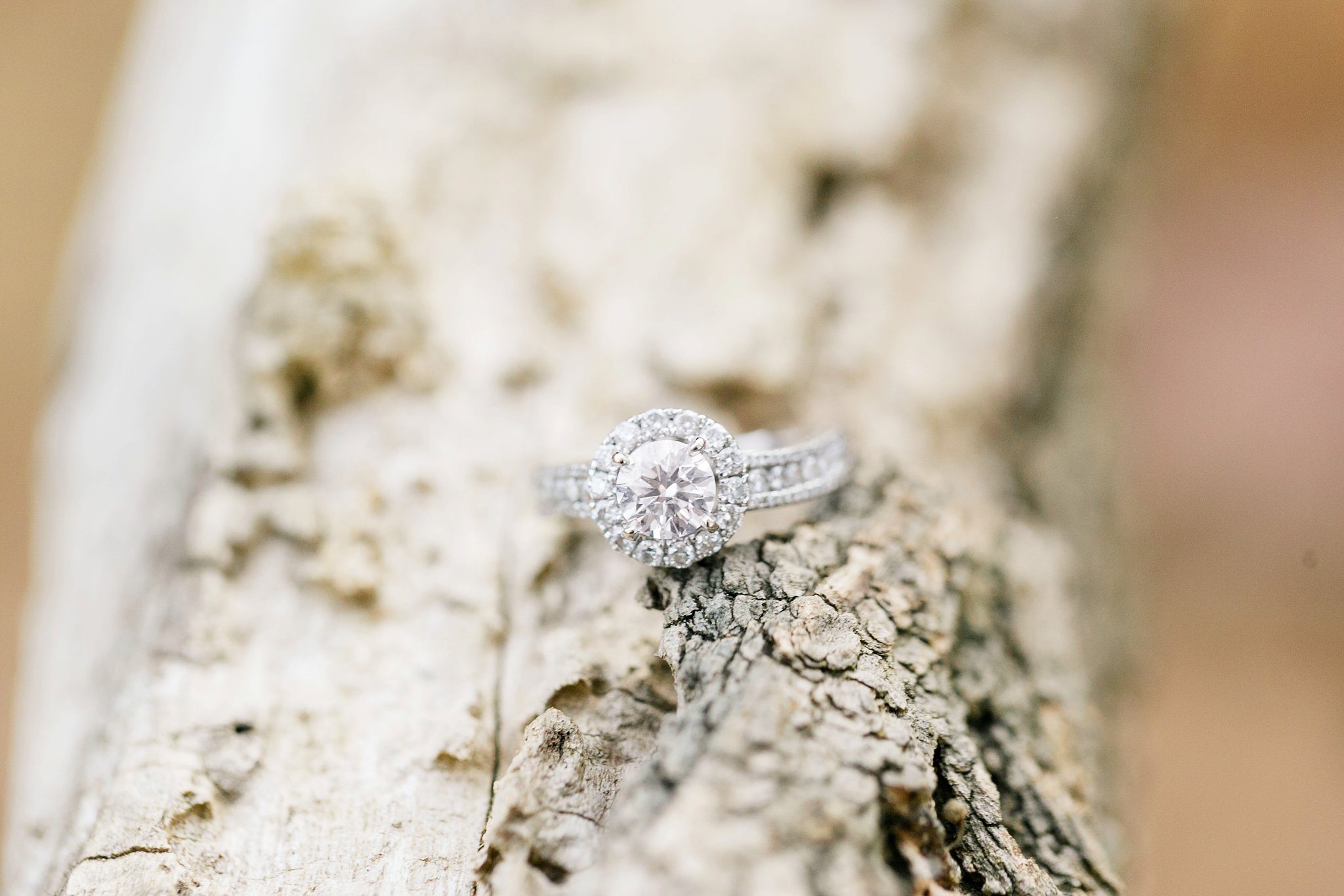 Rock Creek Park Engagement Photos DC Wedding Photographer Megan Kelsey Photography Katie & Conor-97.jpg