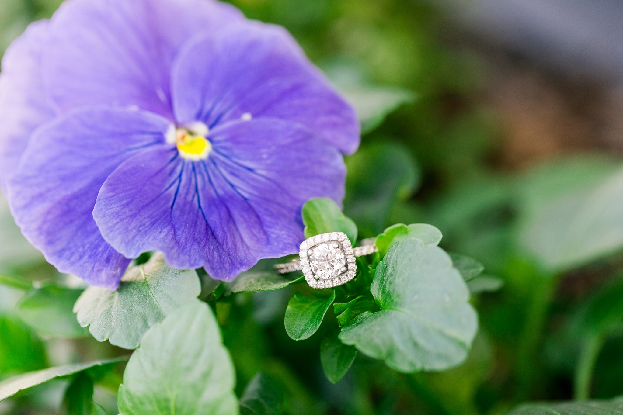 Old Town Alexandria Engagement Photos Northern Virginia Wedding Photographer Megan Kelsey Photography