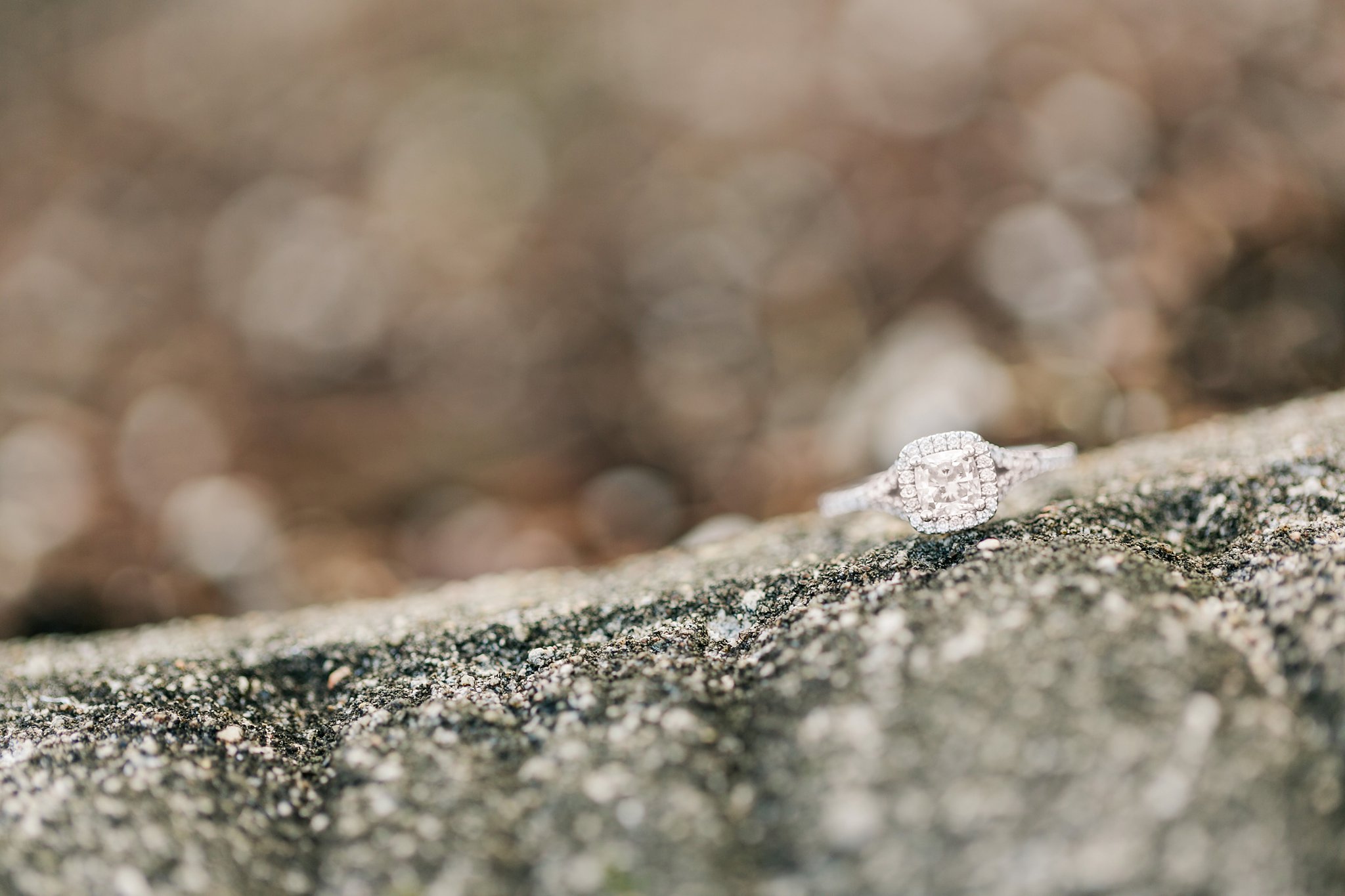 Dover Hall Engagement Photos Richmond Wedding Photographer Claire & Dan Megan Kelsey Photography-0734.jpg