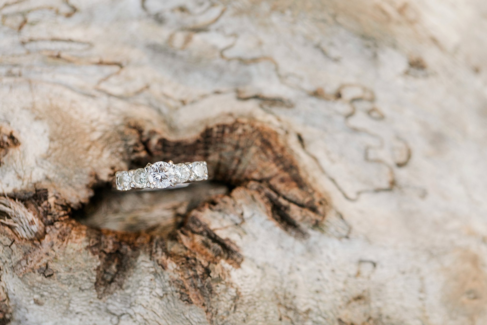 Great Falls Engagement Photos DC Wedding Photographer Megan Kelsey Photography Mary Beth & Nathan-87.jpg