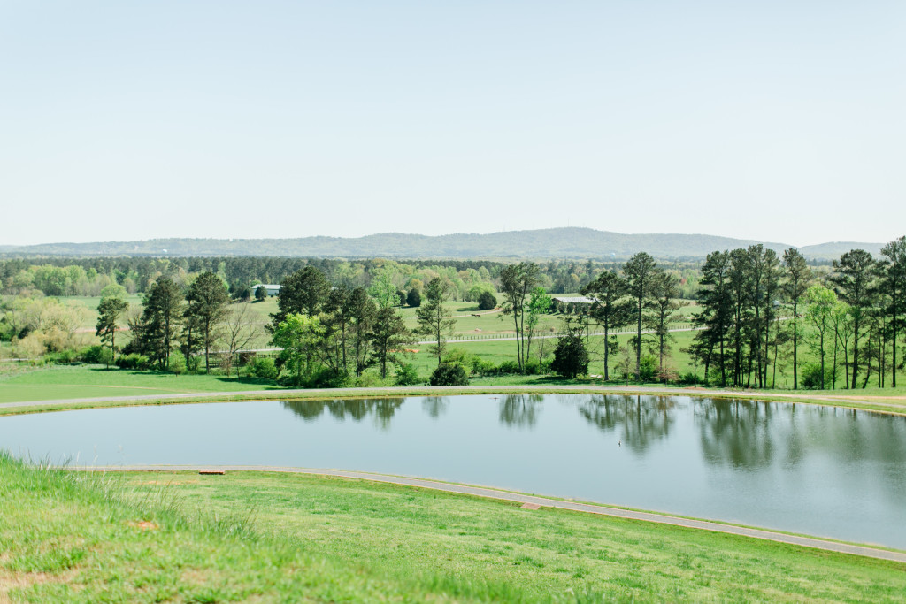 Megan Kelsey Photography Asheville Wedding Photographer Southern Road Trip-3391