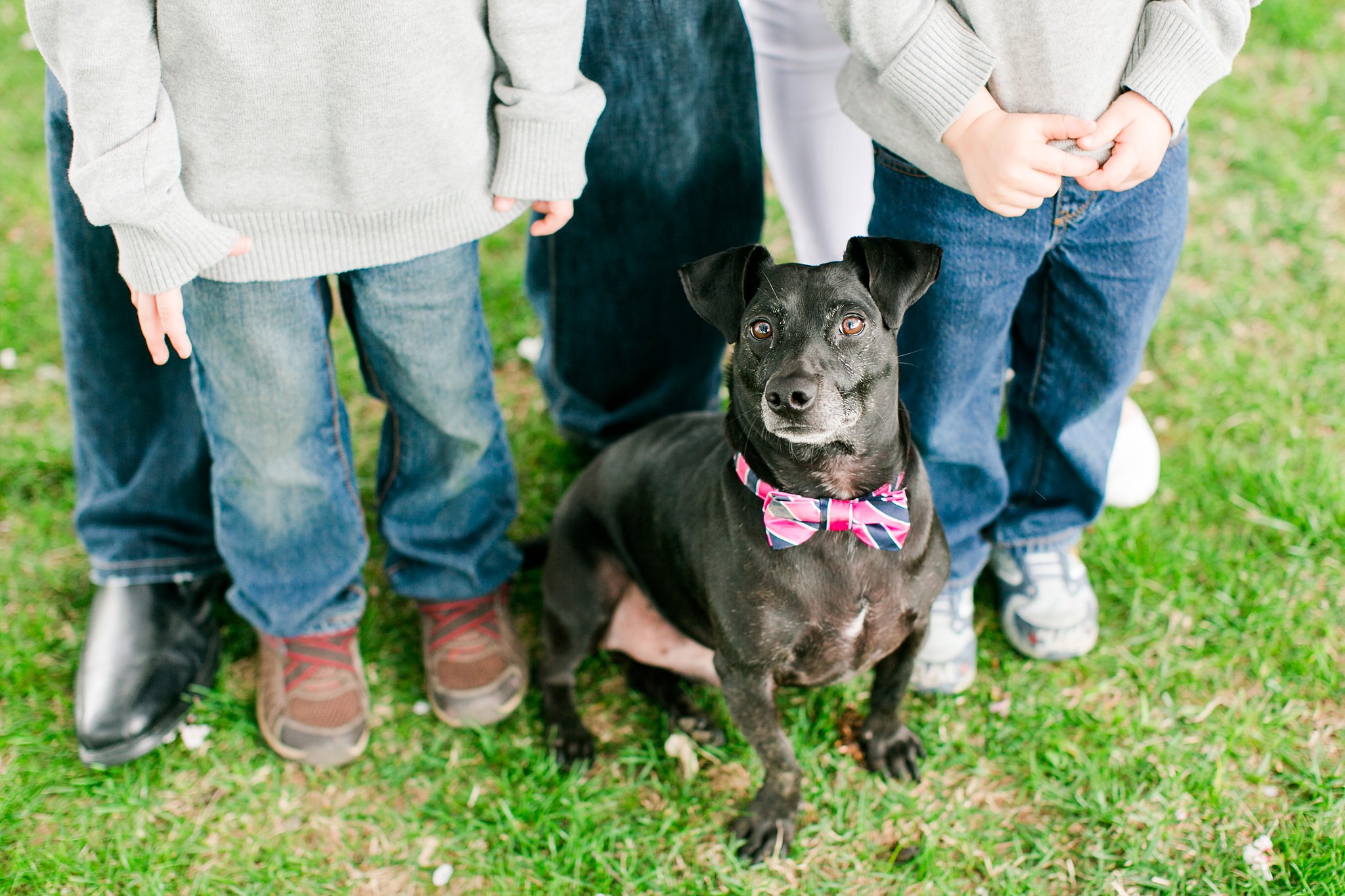 Washington DC Family Photographer Cherry Blossom Portraits Clark Family Megan Kelsey Photography-38.jpg