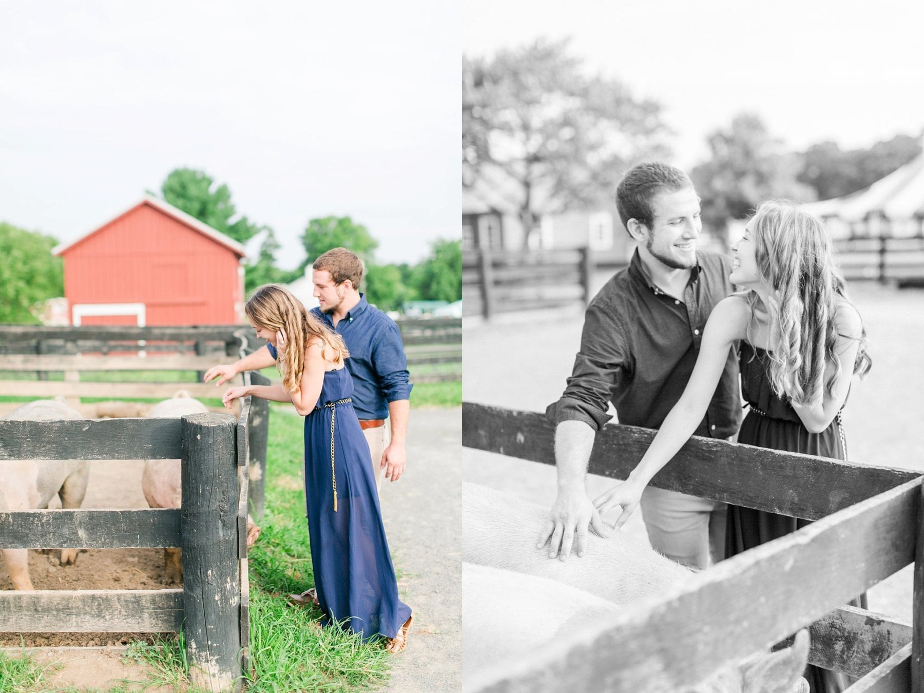 County Fair Engagement Photos Virginia Wedding Photographer Megan Kelsey Photography Samantha & Charles-219.JPG