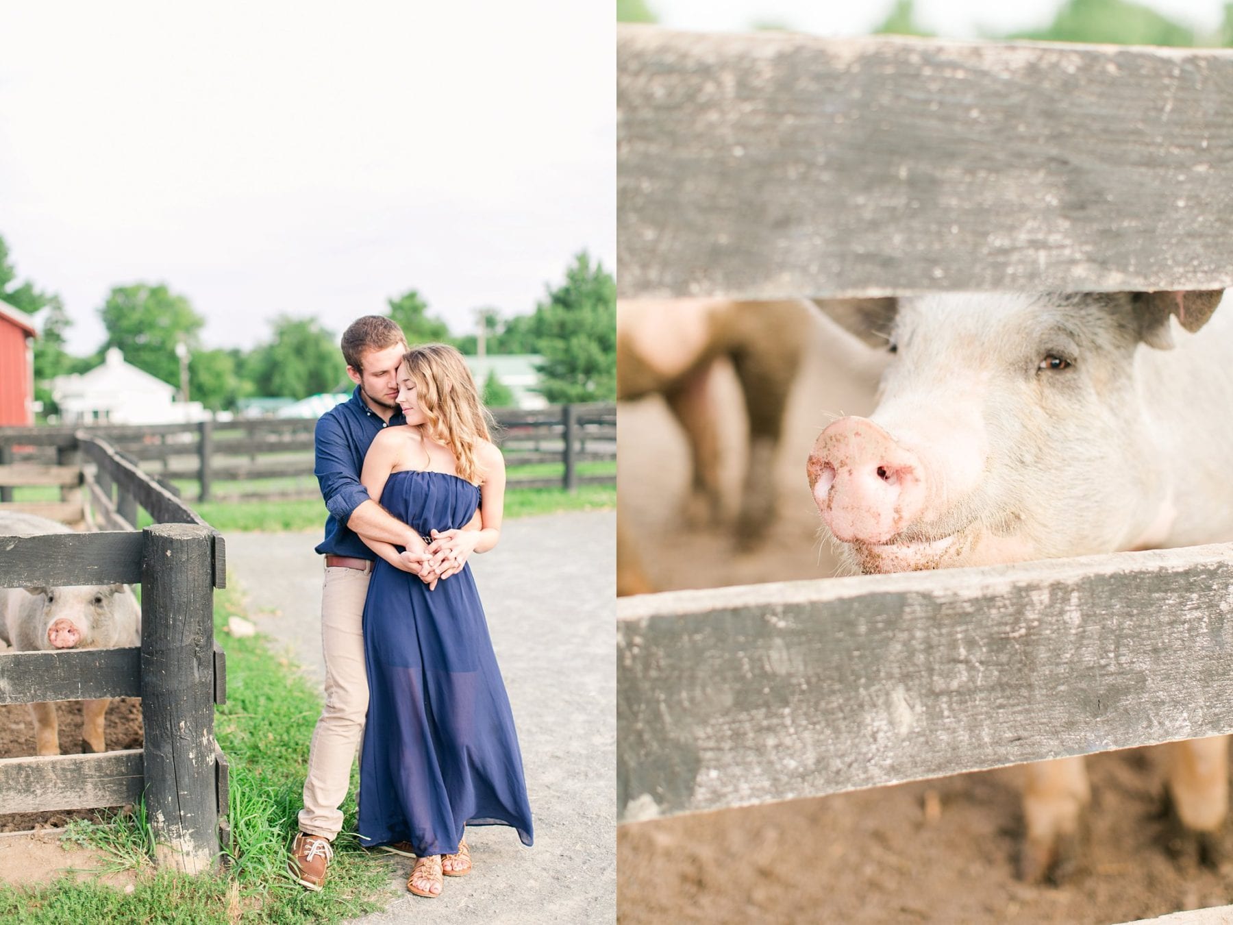 County Fair Engagement Photos Virginia Wedding Photographer Megan Kelsey Photography Samantha & Charles-224.JPG