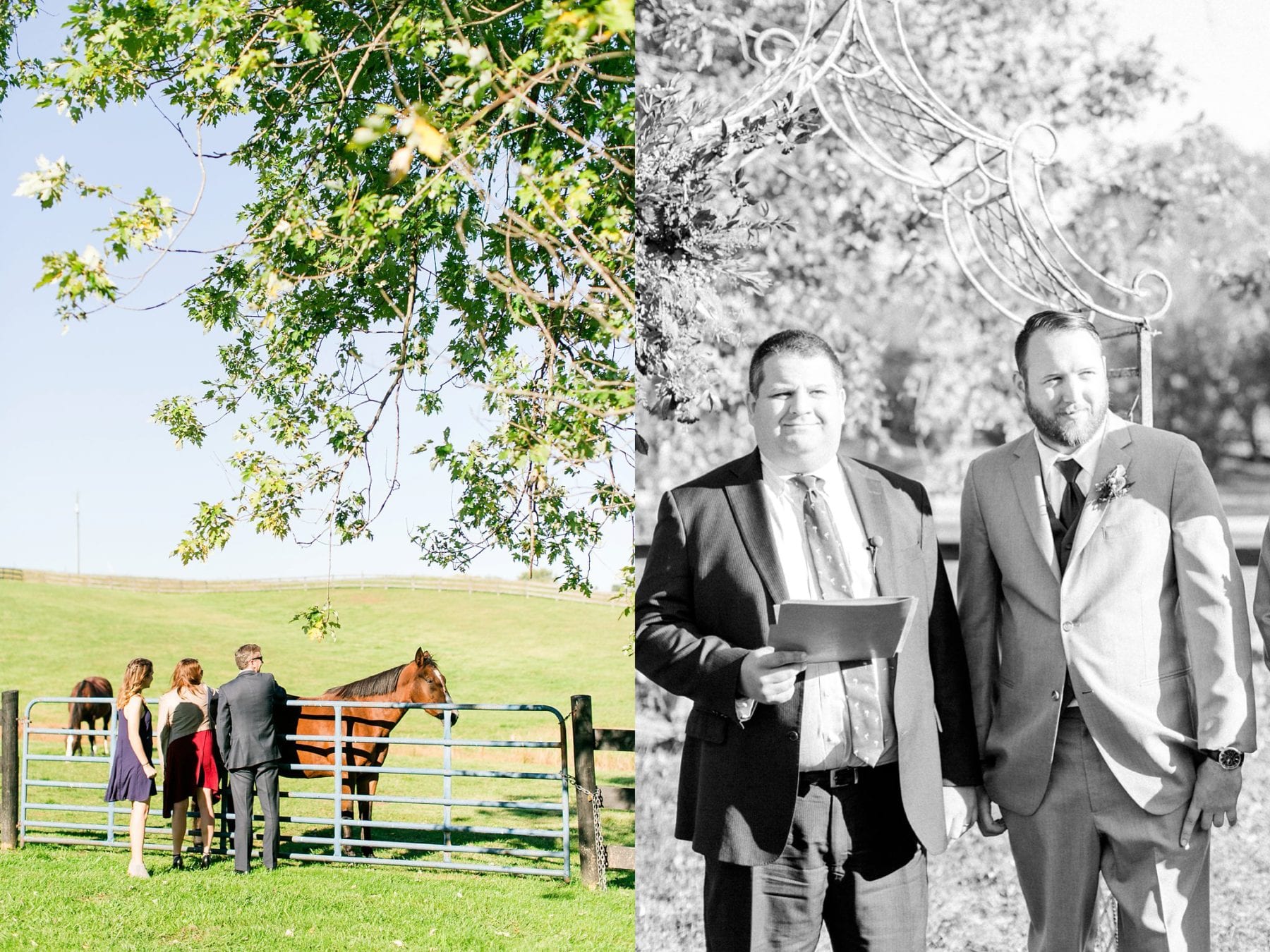 Tranquility Farm Wedding Photos Leesburg Wedding Photographer Megan Kelsey Photography Virginia Wedding Photographer Matt & Colleen-120.jpg