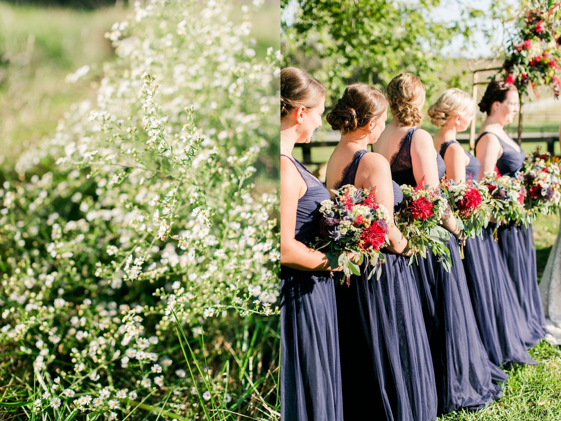 Tranquility Farm Wedding Photos Leesburg Wedding Photographer Megan Kelsey Photography Virginia Wedding Photographer Matt & Colleen-126.jpg