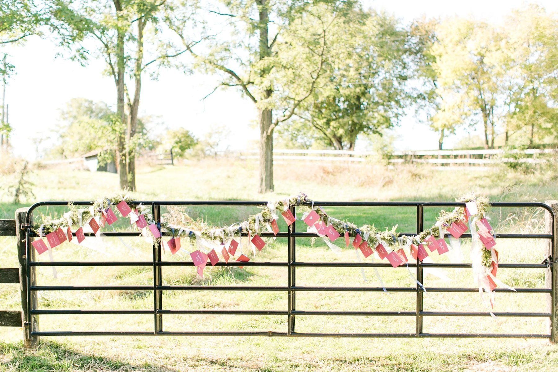 Tranquility Farm Wedding Photos Leesburg Wedding Photographer Megan Kelsey Photography Virginia Wedding Photographer Matt & Colleen-134.jpg