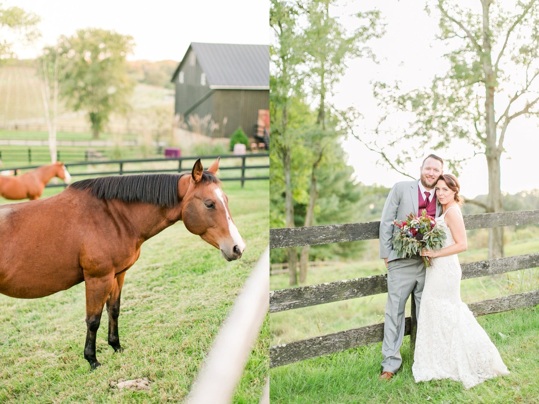 Tranquility Farm Wedding Photos Leesburg Wedding Photographer Megan Kelsey Photography Virginia Wedding Photographer Matt & Colleen-147.jpg