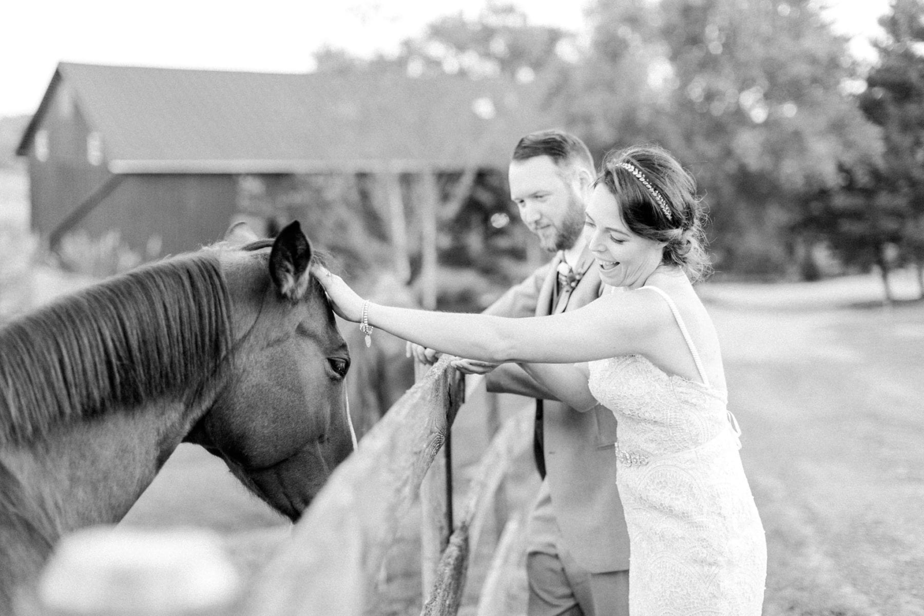 Tranquility Farm Wedding Photos Leesburg Wedding Photographer Megan Kelsey Photography Virginia Wedding Photographer Matt & Colleen-150.jpg