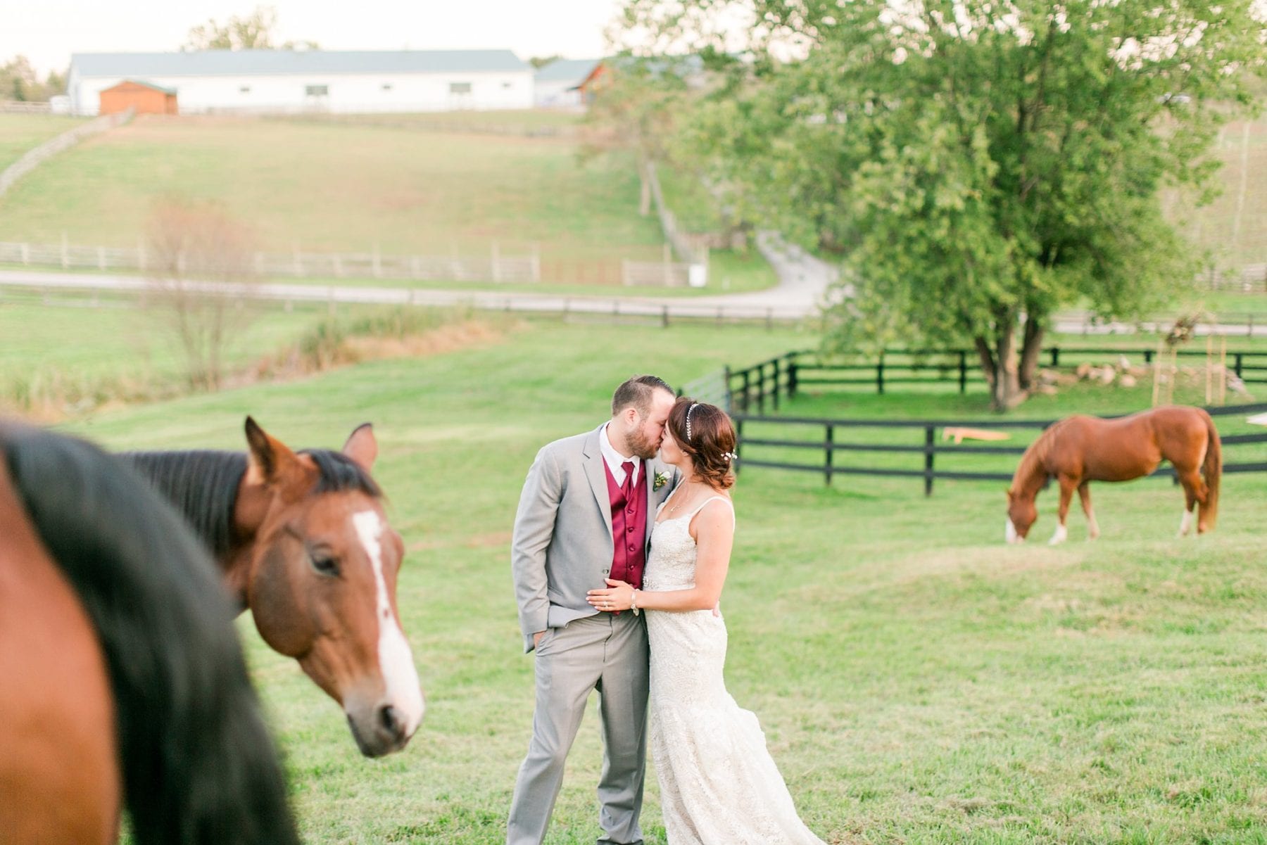 Tranquility Farm Wedding Photos Leesburg Wedding Photographer Megan Kelsey Photography Virginia Wedding Photographer Matt & Colleen-155.jpg