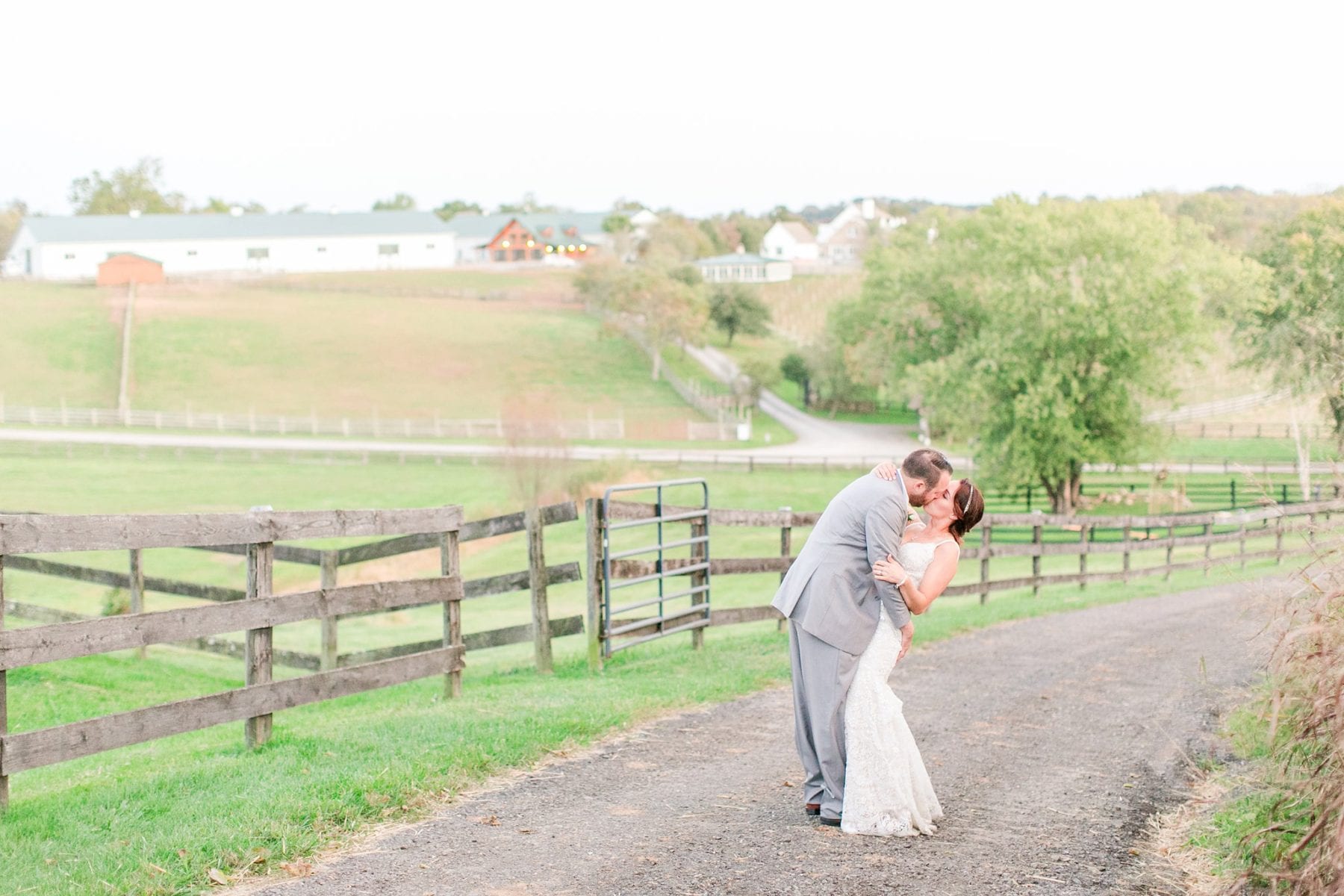 Tranquility Farm Wedding Photos Leesburg Wedding Photographer Megan Kelsey Photography Virginia Wedding Photographer Matt & Colleen-167.jpg