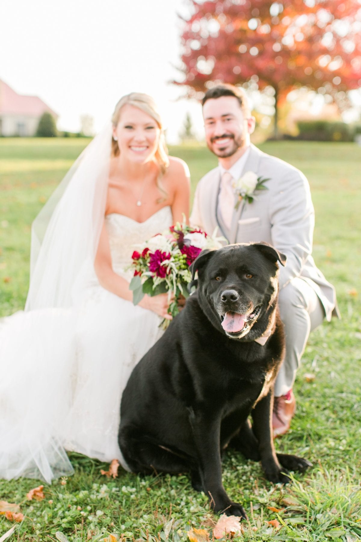 Wyndridge Farm Wedding Photos Dallastown Pennsylvania Wedding Photographer Megan Kelsey Photography Heather & Matt-591.jpg