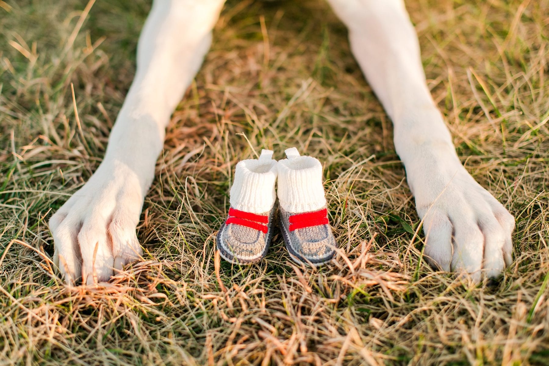 Firefighter Baby Announcement Virginia Photographer Megan Kelsey Photography Jeromy & Becky-243.jpg