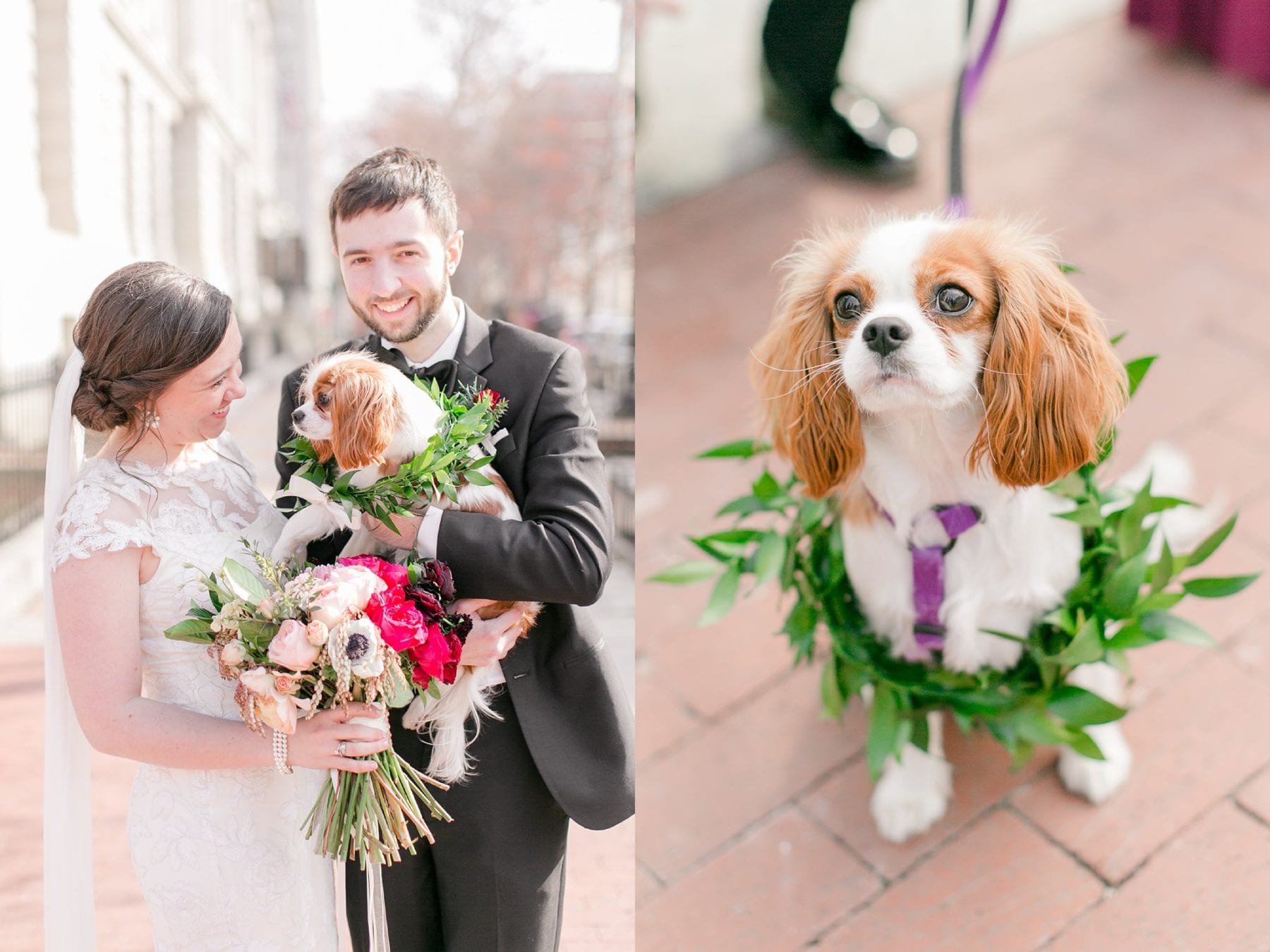 Hotel Monaco Washington DC Wedding Photos Megan Kelsey Photography Erin & Mike -225