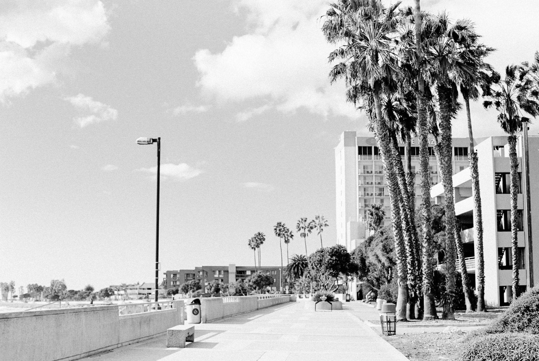 Southern California on Film Megan Kelsey Photography-27.jpg