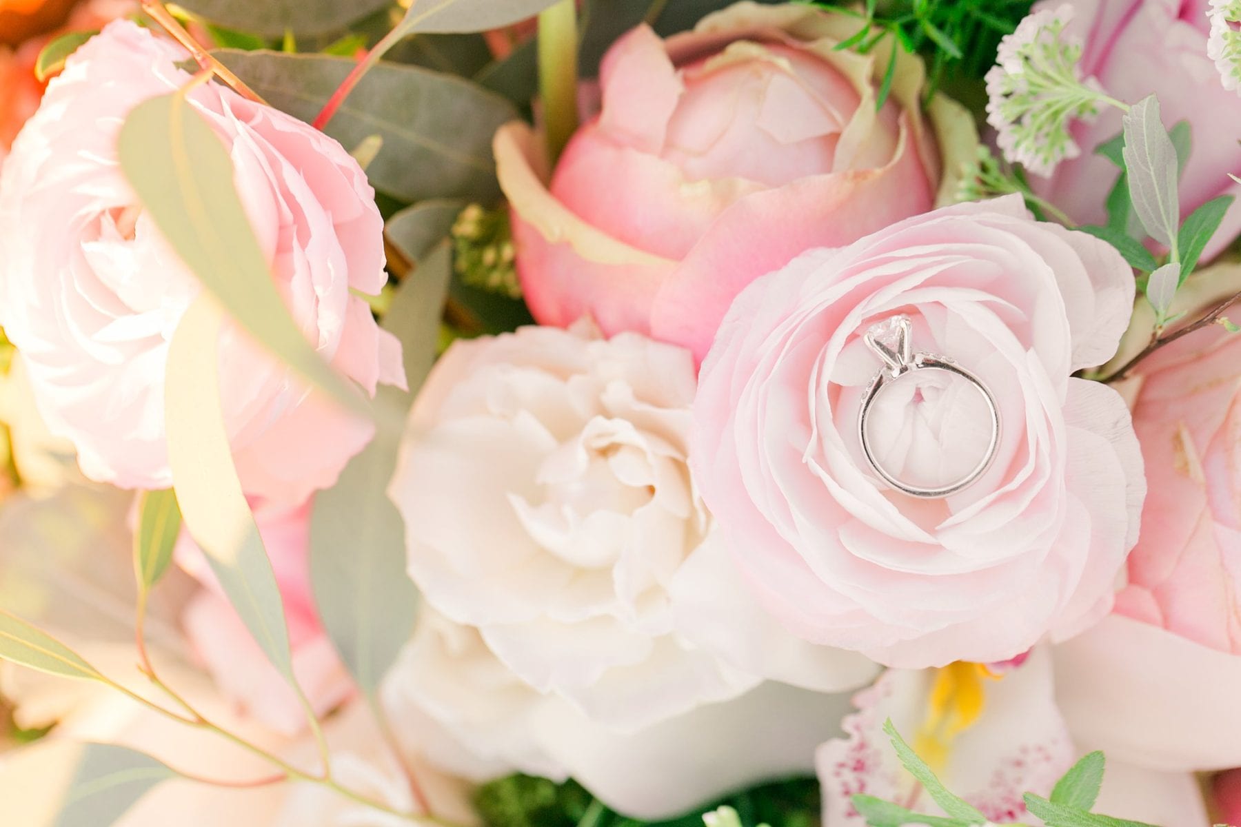 Manassas Battlefield Engagement Session Virginia Wedding Photographer Danielle & Charlie Megan Kelsey Photography-5875.jpg