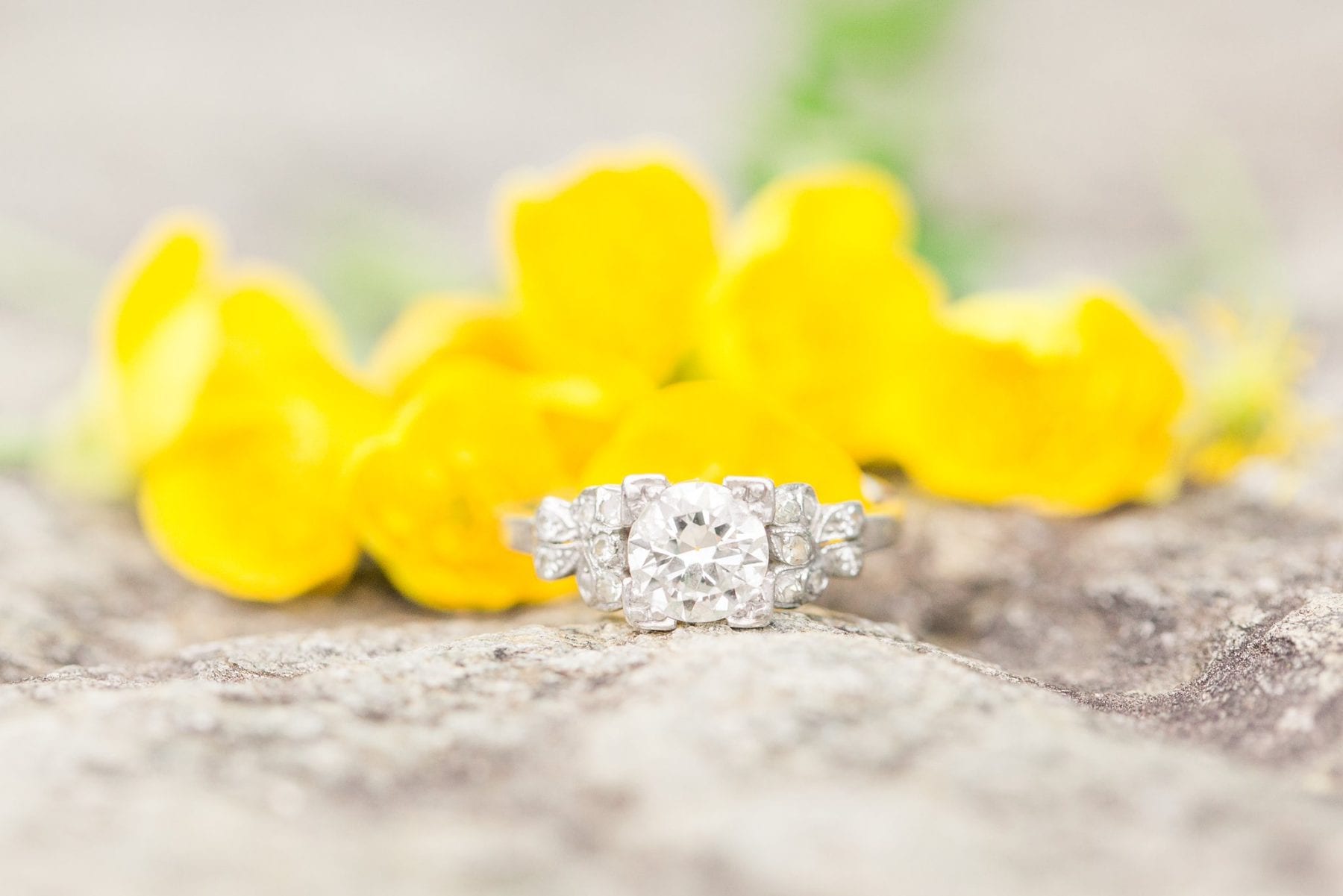 Great Falls Engagement Session Virginia Photographer Megan Kelsey Photography Elizabeth & Chris-154.jpg