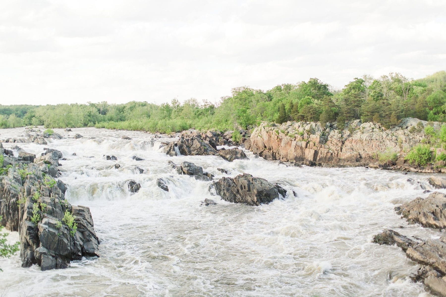 Great Falls Engagement Session Virginia Photographer Megan Kelsey Photography Elizabeth & Chris-87.jpg