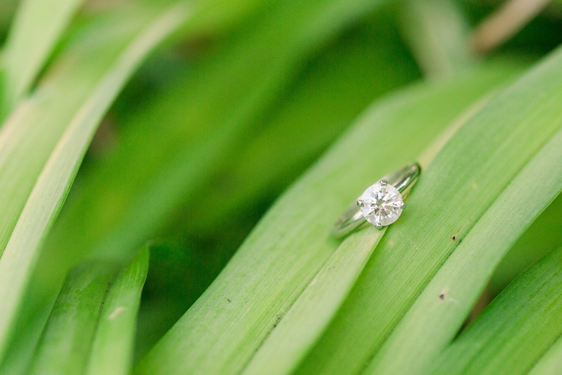 Georgetown Engagement Photos Megan Kelsey Photography -173.jpg