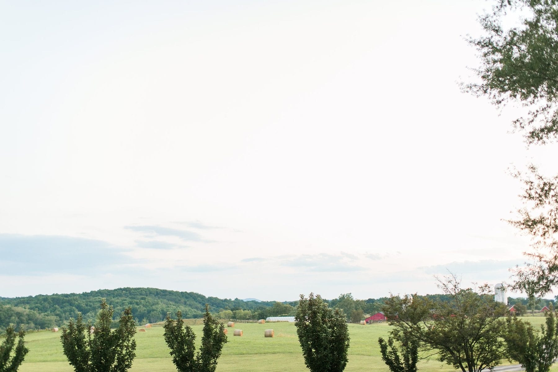 Goodstone Inn Wedding Middleburg Virginia Wedding Photographer Sarah & Kevin-325.jpg