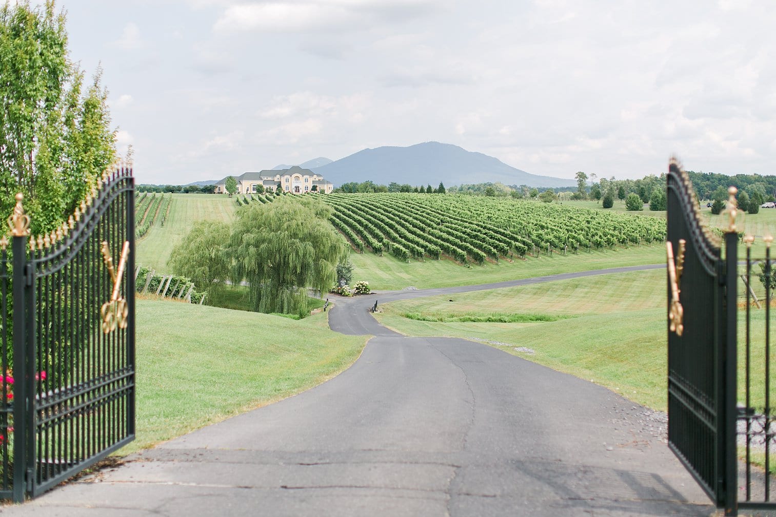 Crosskeys Vineyard Wedding Harrisonburg Virginia Wedding Photographer Megan Kelsey Photography-1.jpg