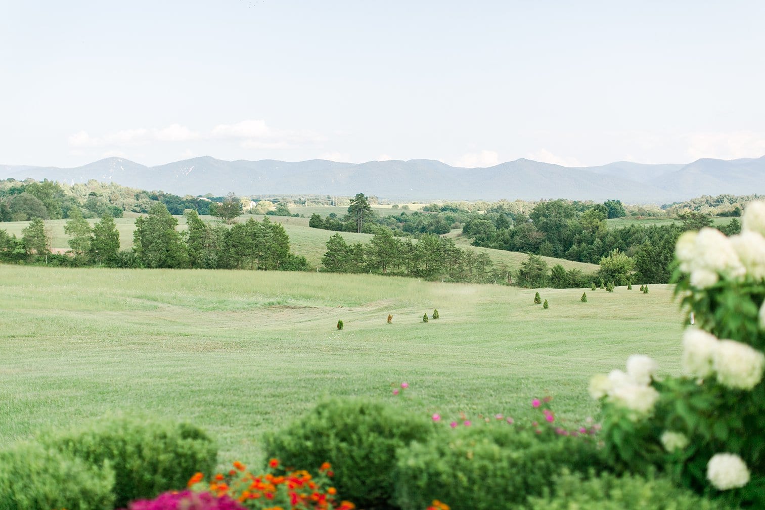 Crosskeys Vineyard Wedding Harrisonburg Virginia Wedding Photographer Megan Kelsey Photography-131.jpg