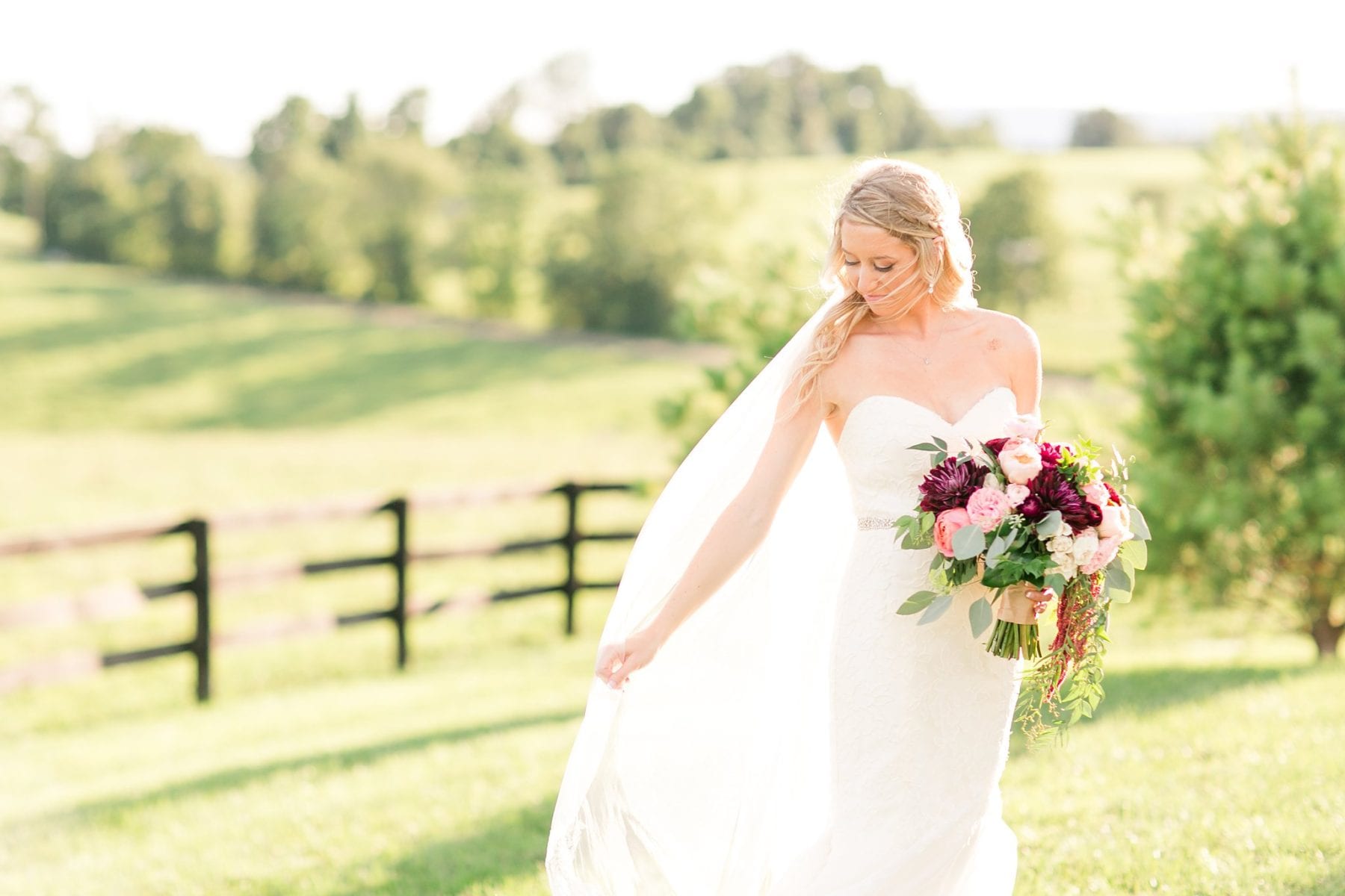 Shadow Creek Weddings Events Wedding Virginia Wedding Photographer