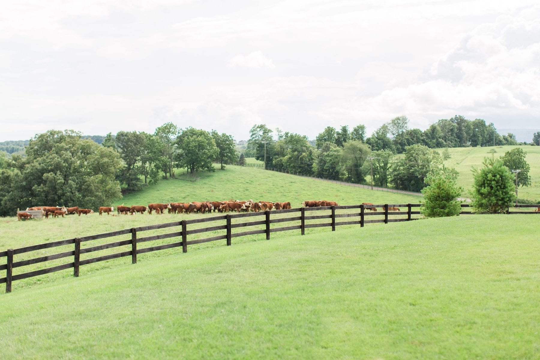 Shadow Creek Weddings Events Wedding Virginia Wedding Photographer