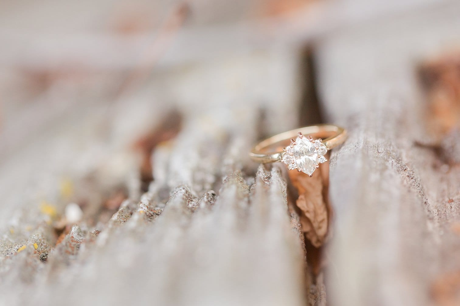 Fredericksburg Engagement Photos Megan Kelsey Photography Virginia Wedding Photographer-117.jpg