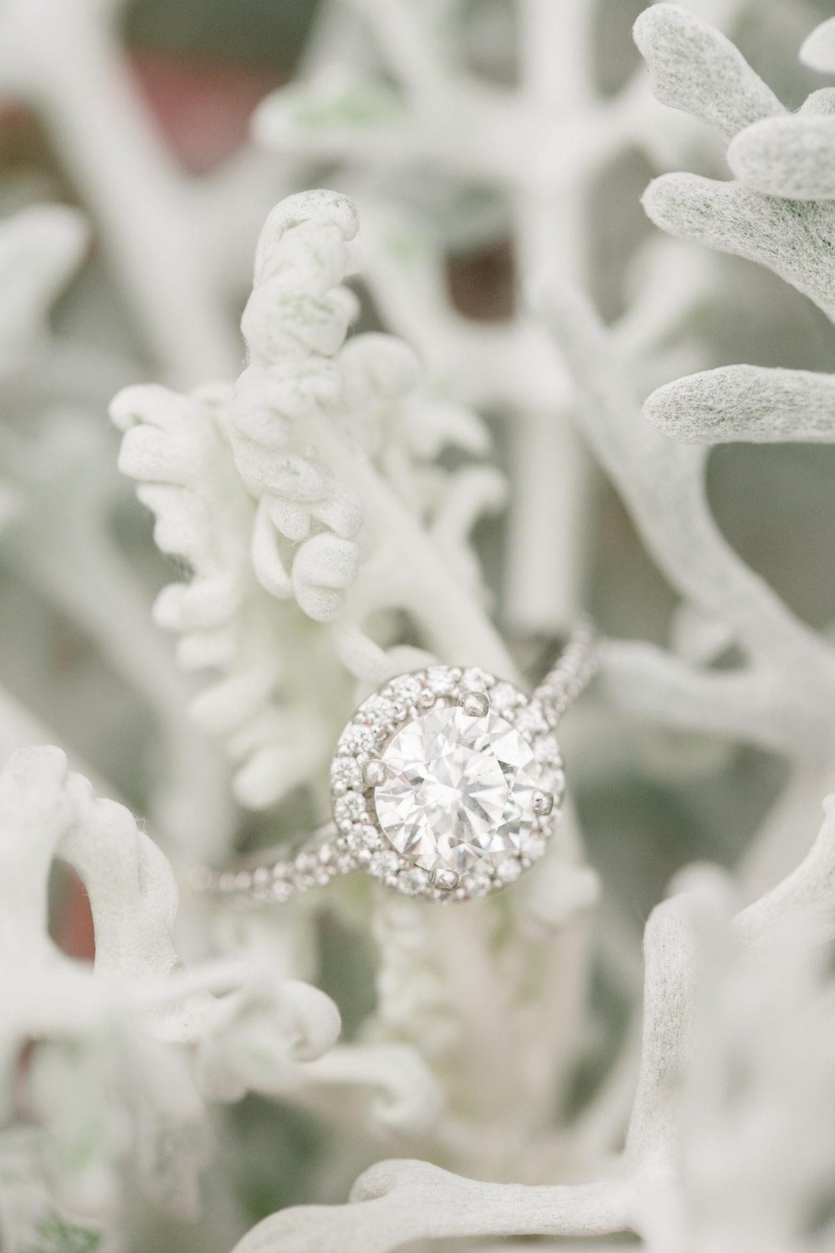 Sugarloaf Mountain Engagement Session Megan Kelsey Photography Monica & Josh-154.jpg