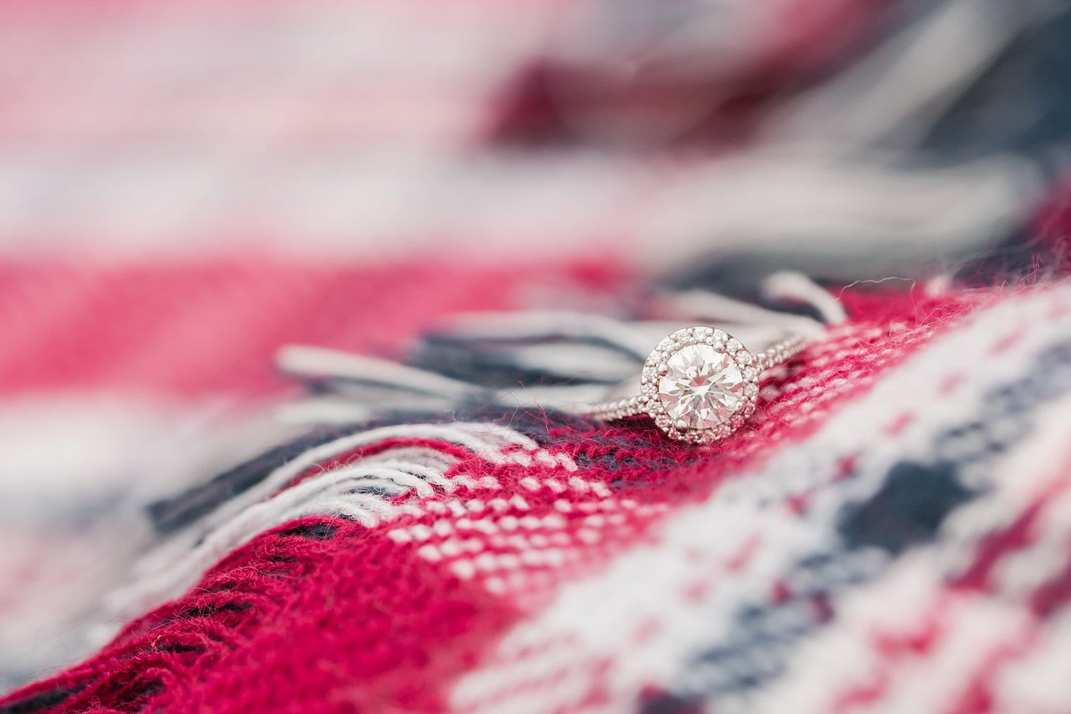 Sugarloaf Mountain Engagement Session Megan Kelsey Photography Monica & Josh-159.jpg