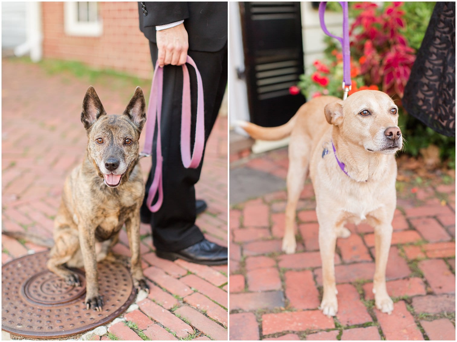 Classic Old Town Alexandria Engagement Session-85.jpg