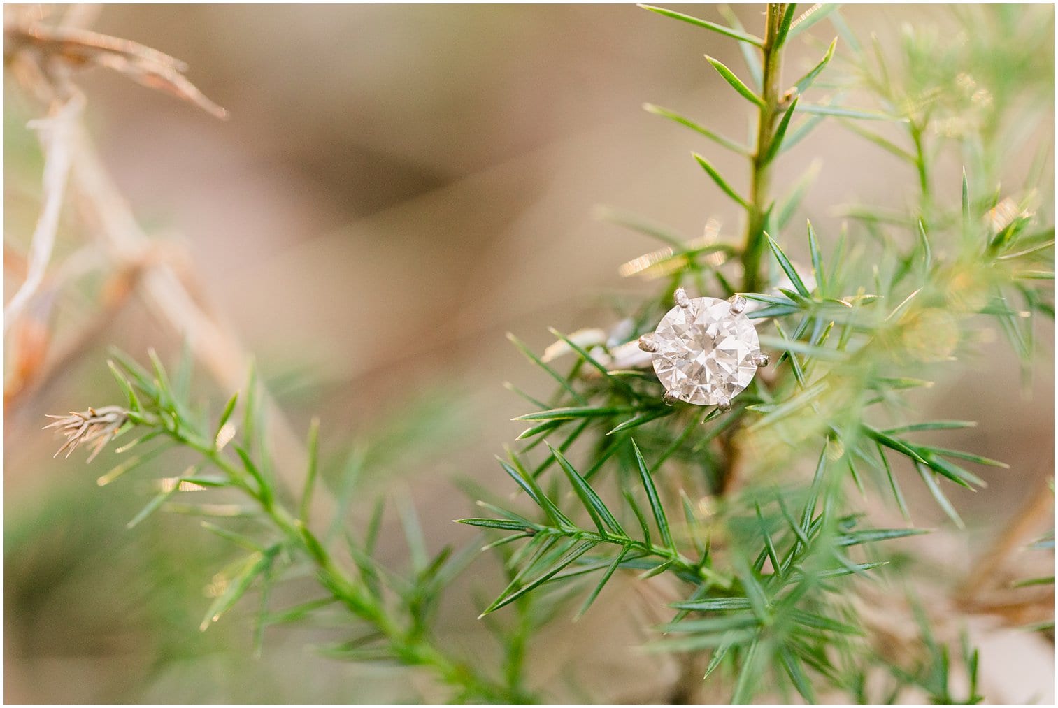 Manassas Battlefield Park Engagement Session Christine & Mason Megan Kelsey Photography-90.jpg