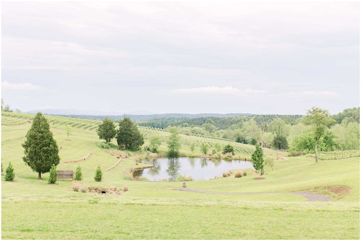 Stone Tower Winery Wedding Leesburg Virginia Wedding Photographer Megan Kelsey Photography-219.jpg