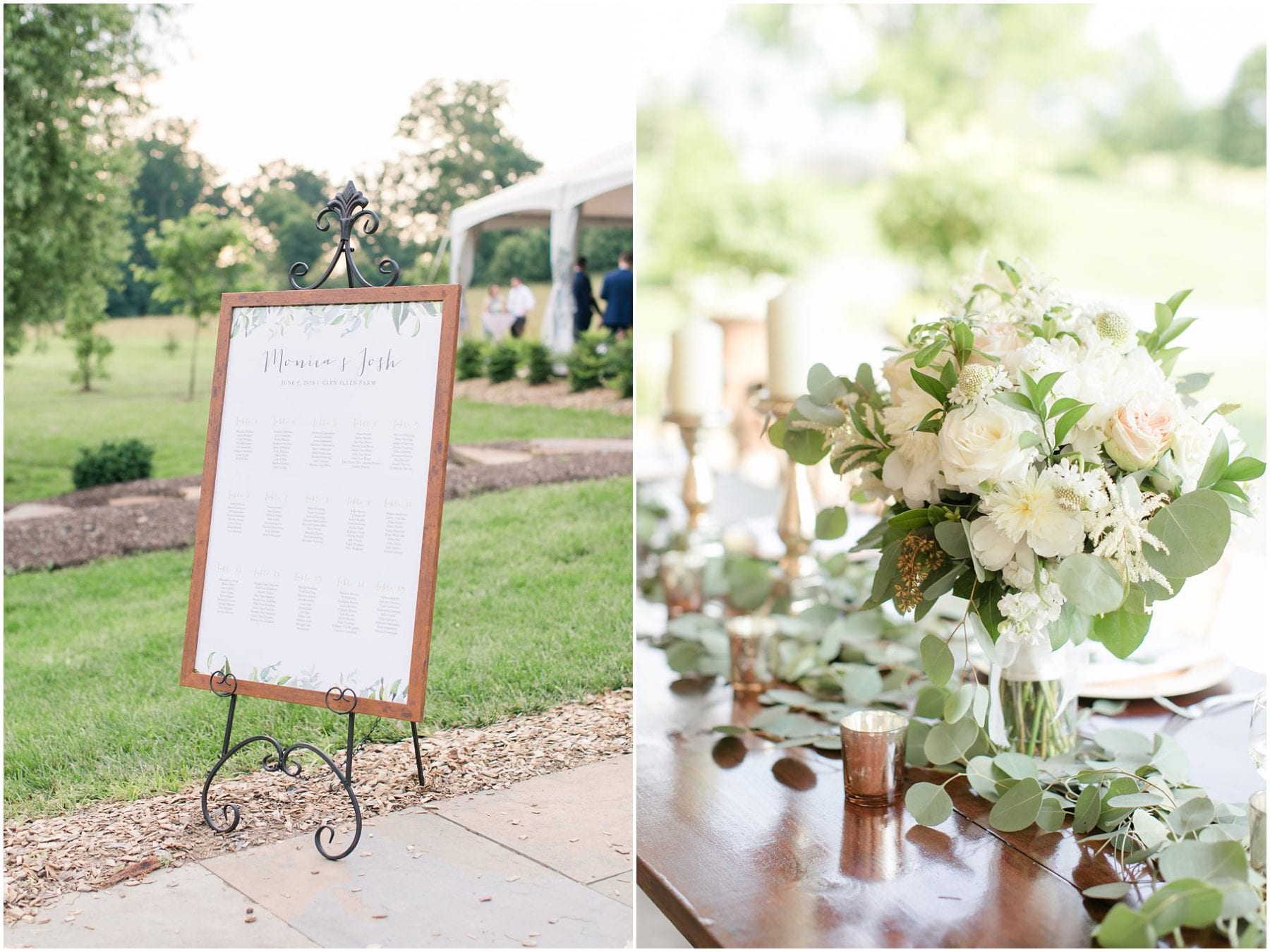 Glen Ellen Farm Wedding Maryland Wedding Photographer 