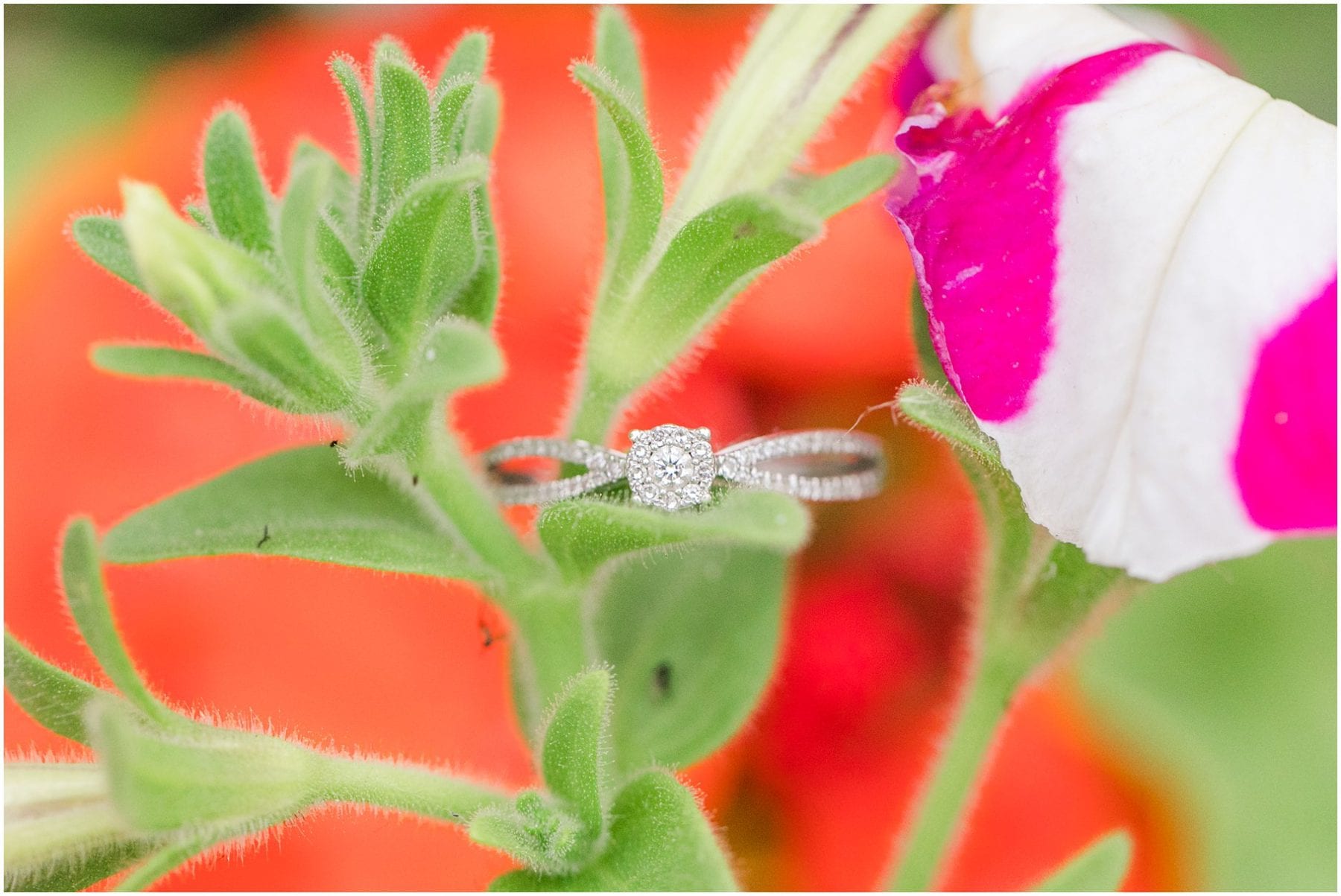 Paris Engagement Photos Trocadero Gardens France Wedding Photographer