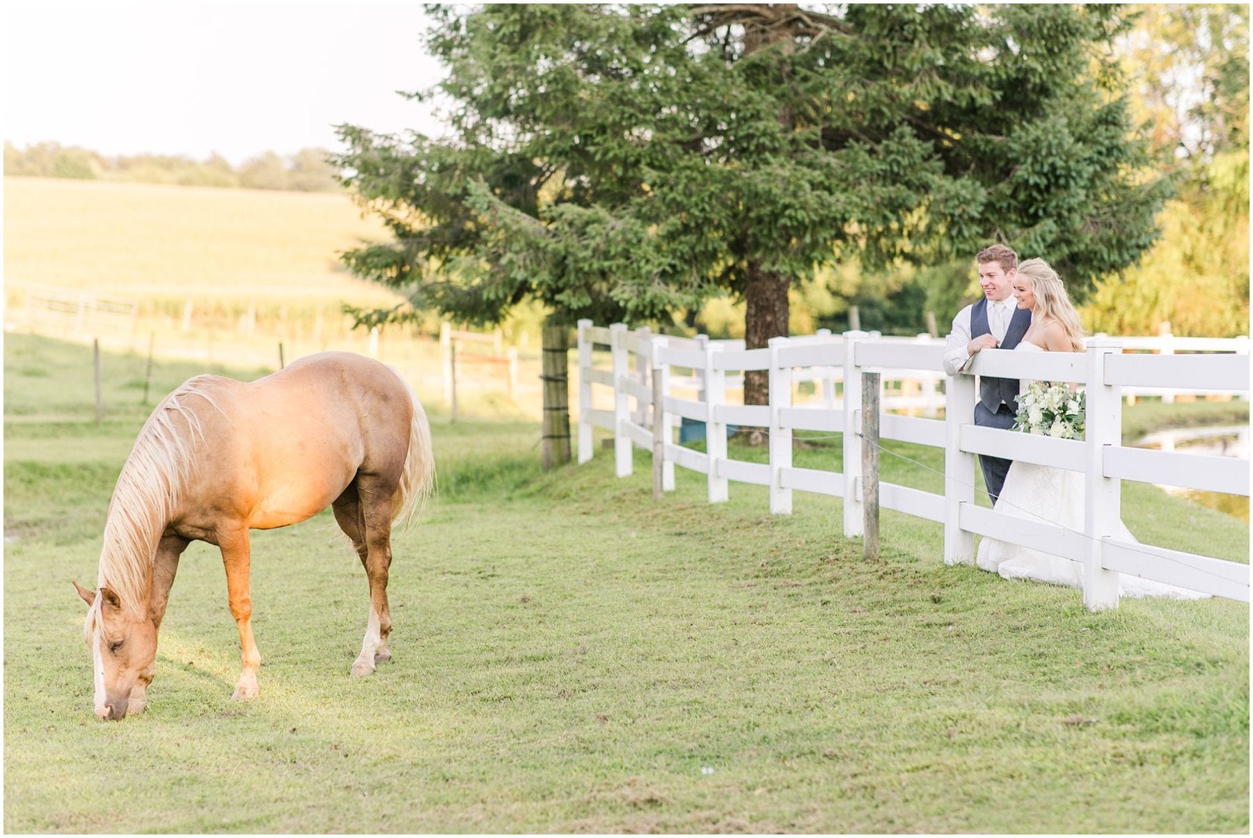 Romantic Pond View Farm Wedding Megan Kelsey Photography Kayla & Bryan-1132.jpg