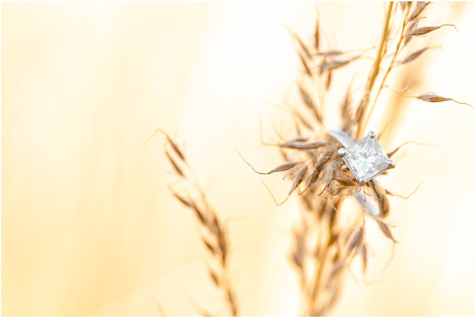 Autumn Manassas Battlefield Engagement Session by Megan Kelsey Photography-140.jpg