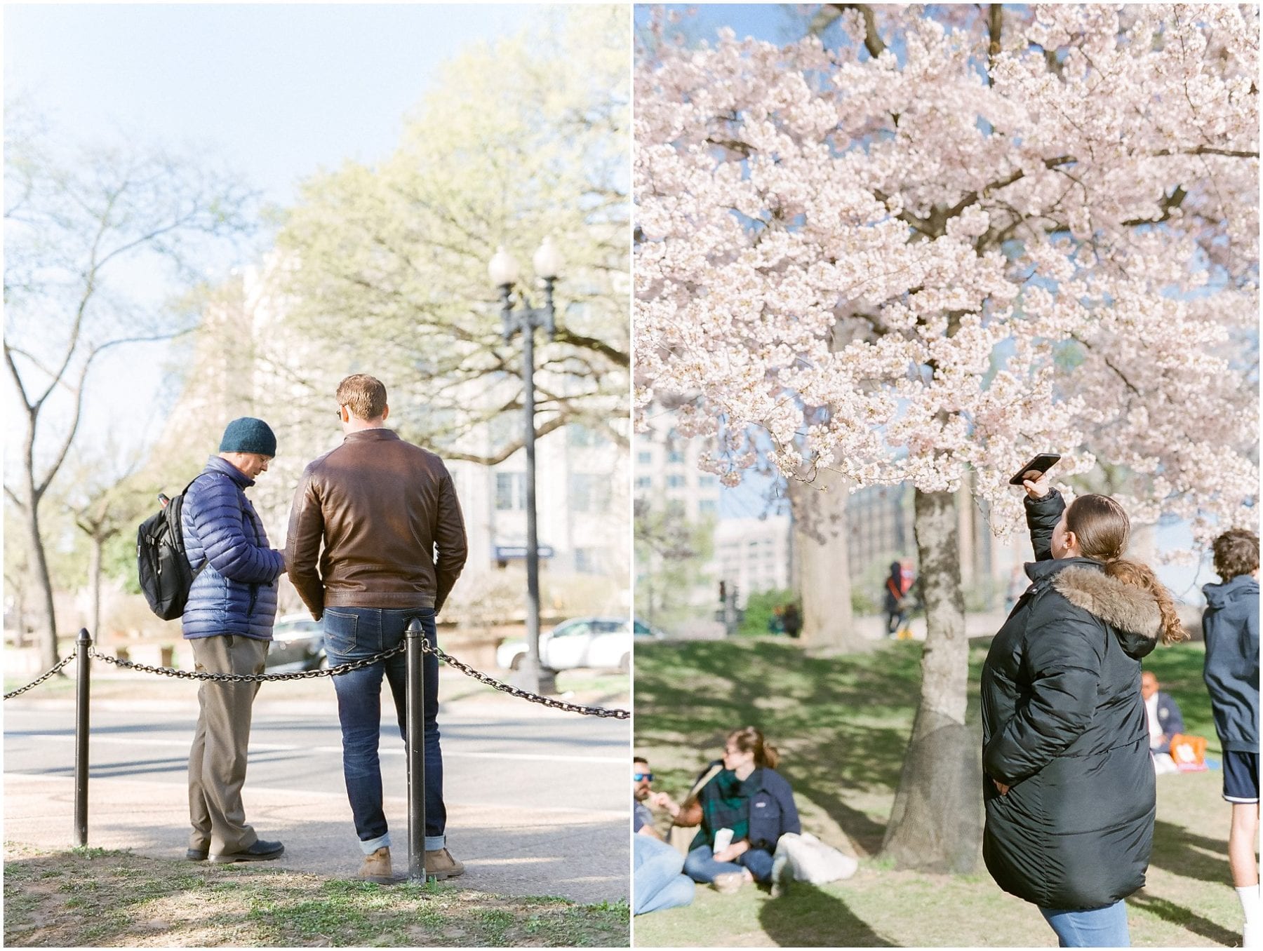 Cherry Blossom Festival on Film April 2019 Megan Kelsey Photography-45.jpg