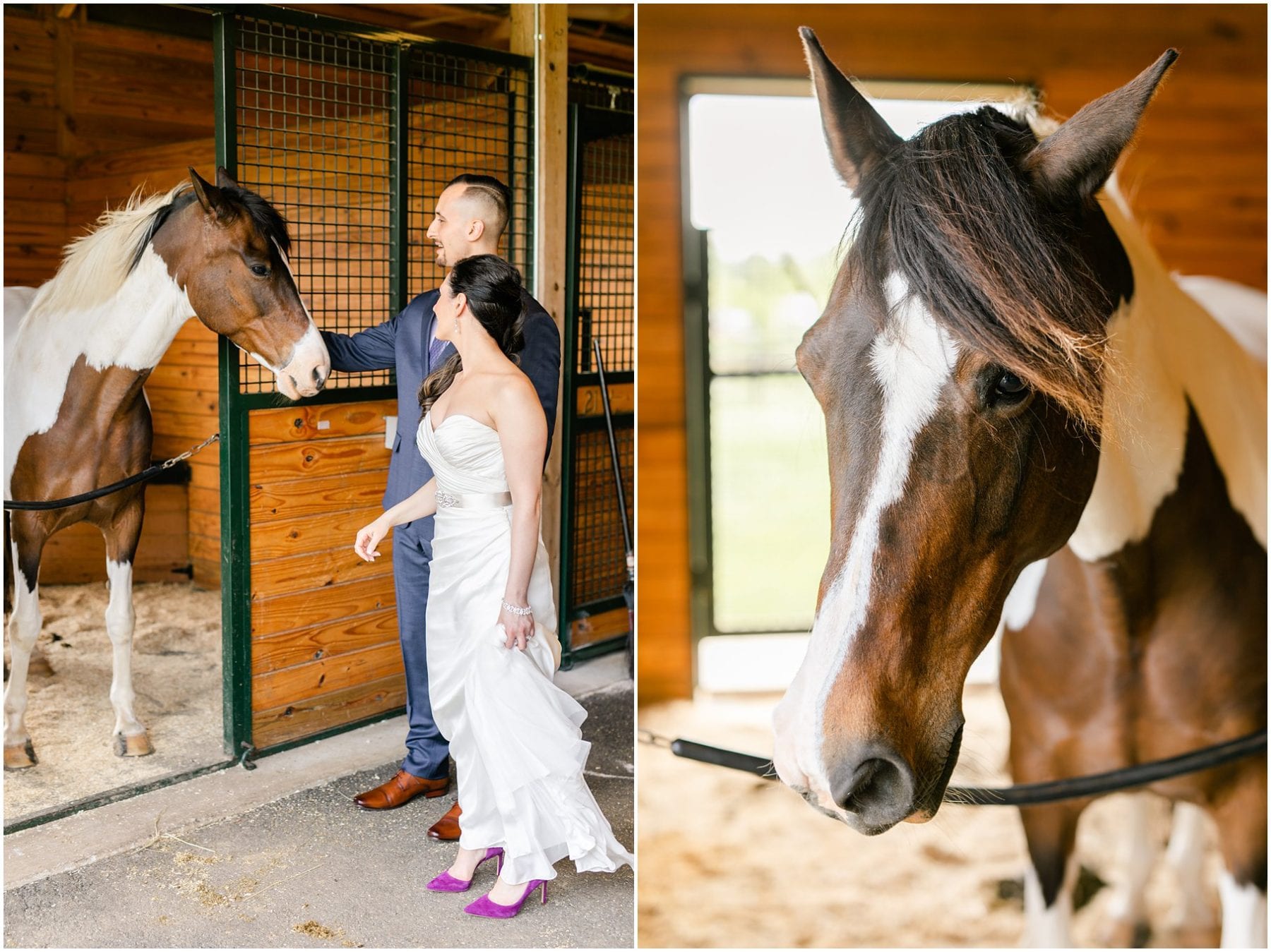 Salamander Resort Wedding Leesburg Virginia Wedding Photographer