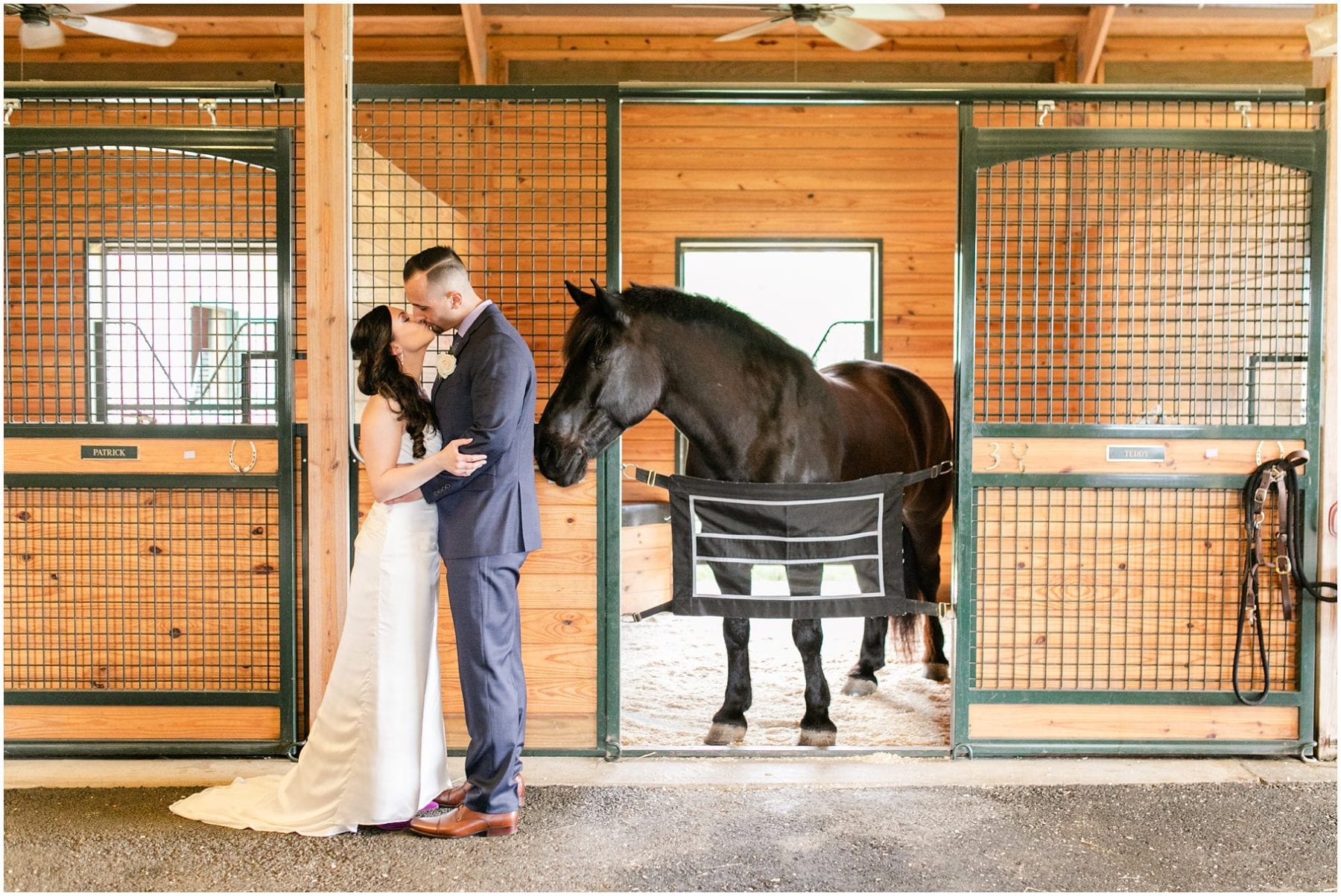 Salamander Resort Wedding Leesburg Virginia Wedding Photographer