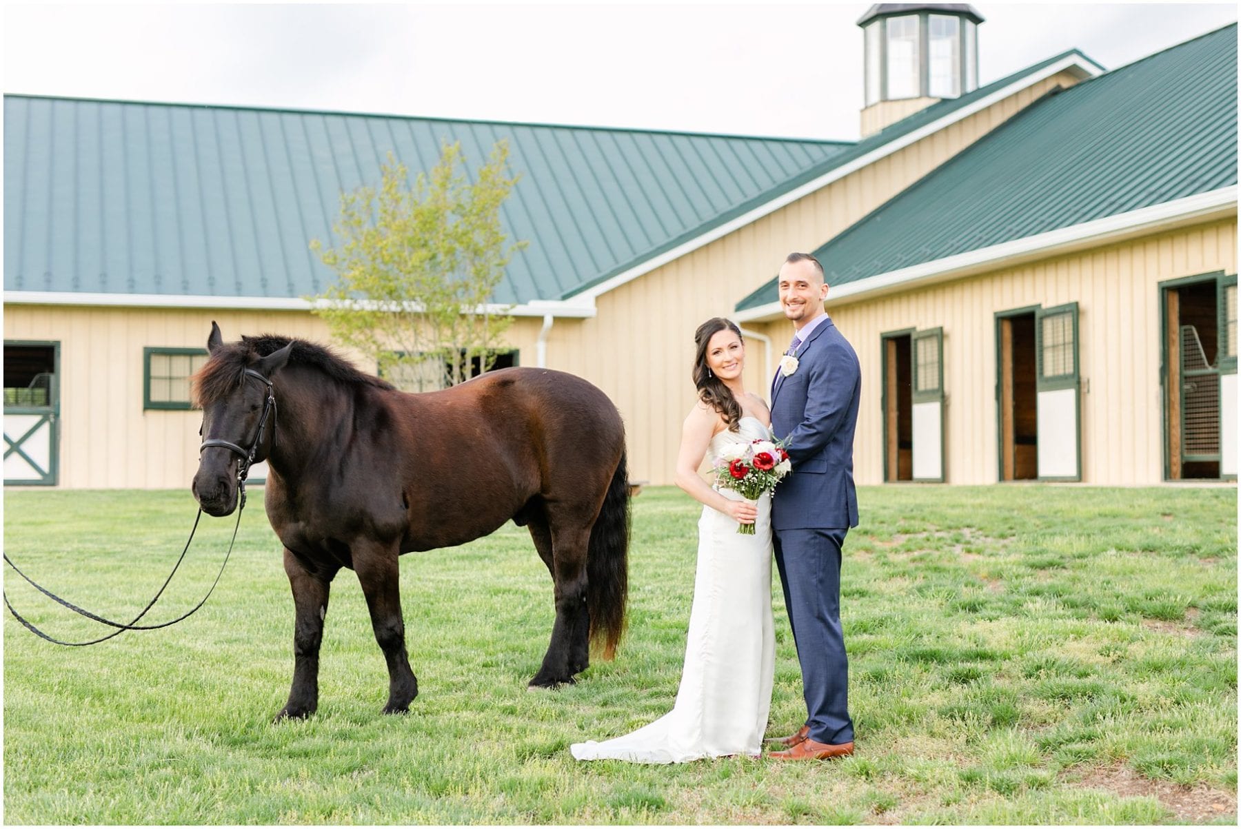 Salamander Resort Wedding Leesburg Virginia Wedding Photographer