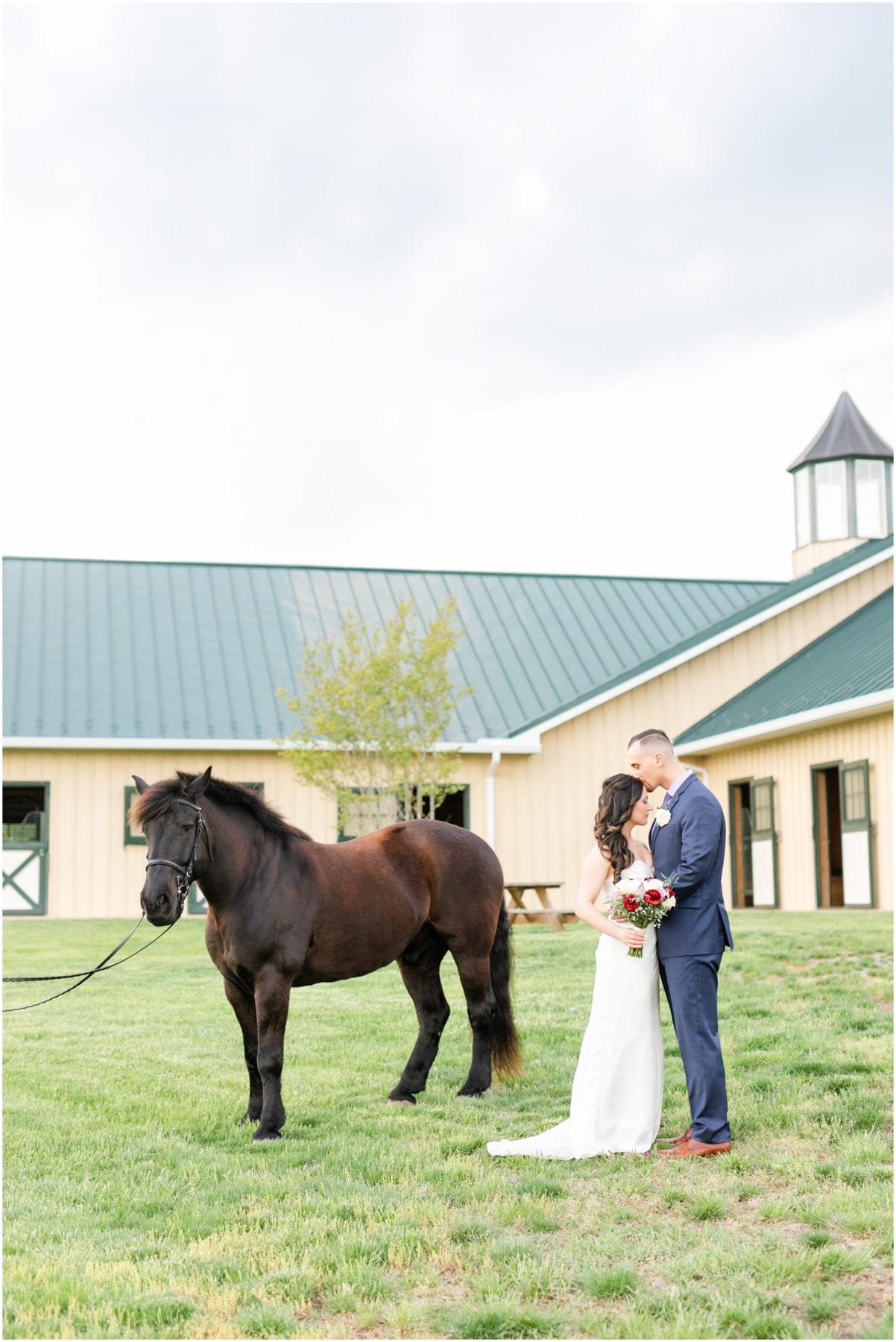 Salamander Resort Wedding Leesburg Virginia Wedding Photographer