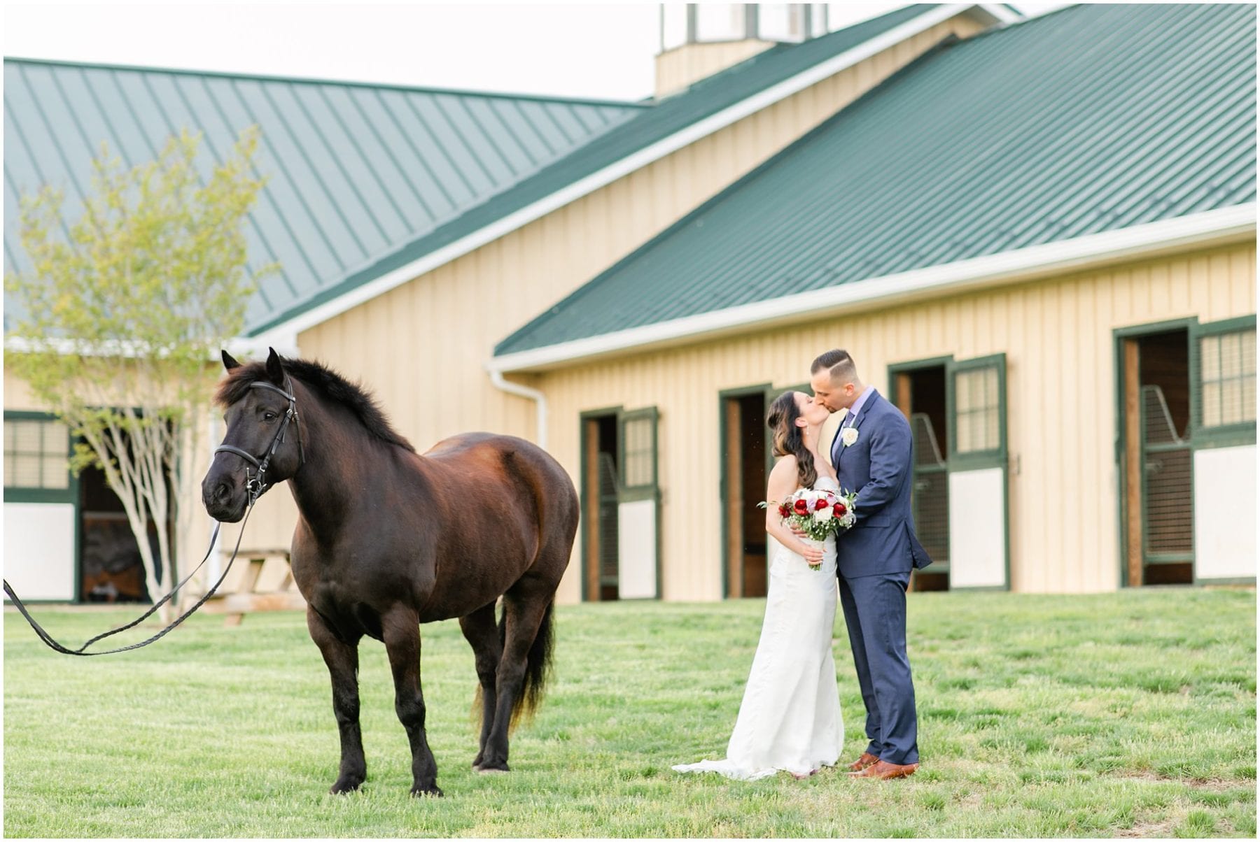 Salamander Resort Wedding Leesburg Virginia Wedding Photographer