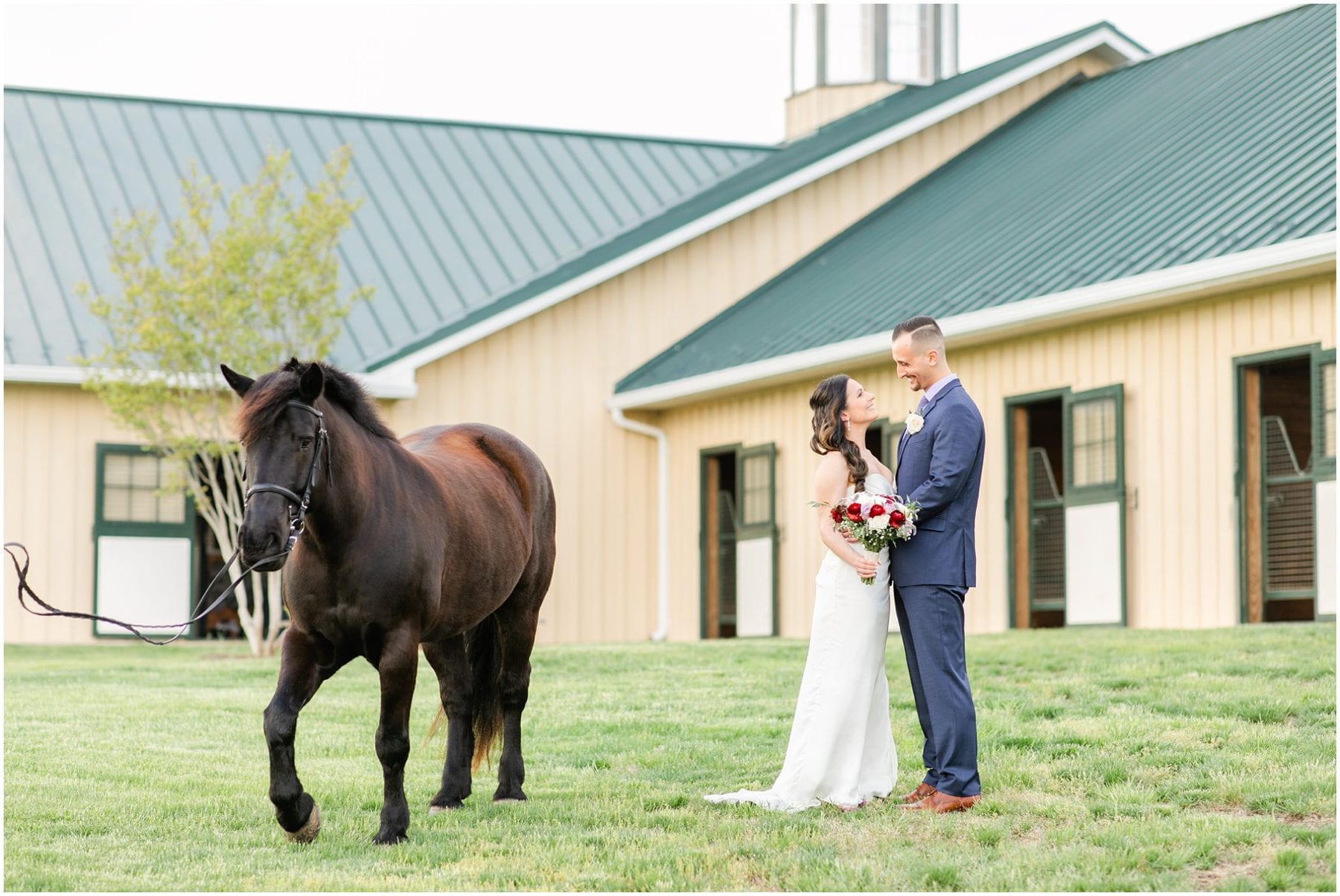 Salamander Resort Wedding Leesburg Virginia Wedding Photographer