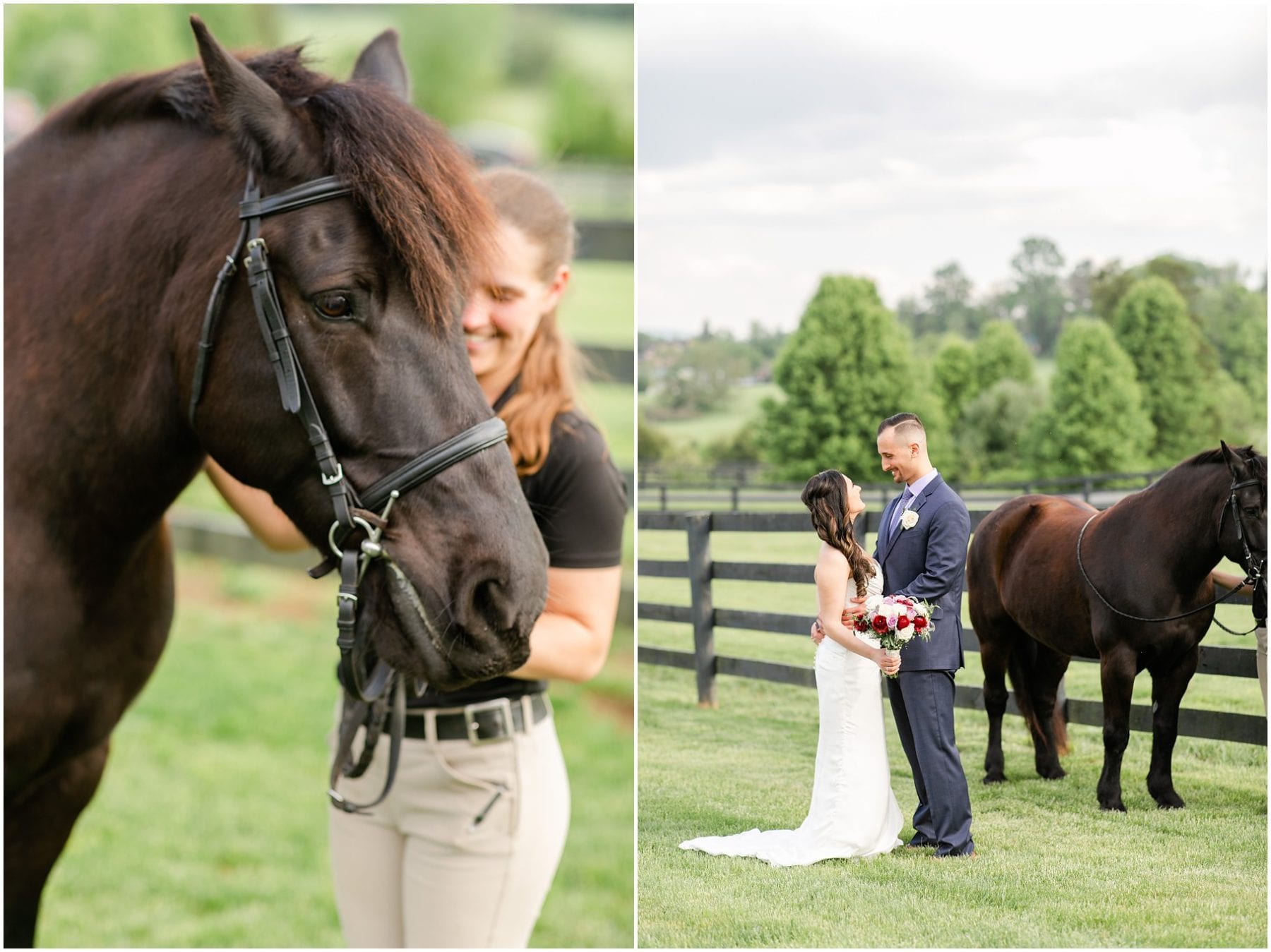 Salamander Resort Wedding Leesburg Virginia Wedding Photographer